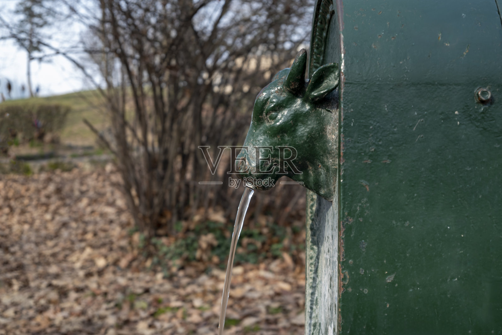 乌龟，小公牛，小公牛。典型的意大利都灵喷泉。照片摄影图片