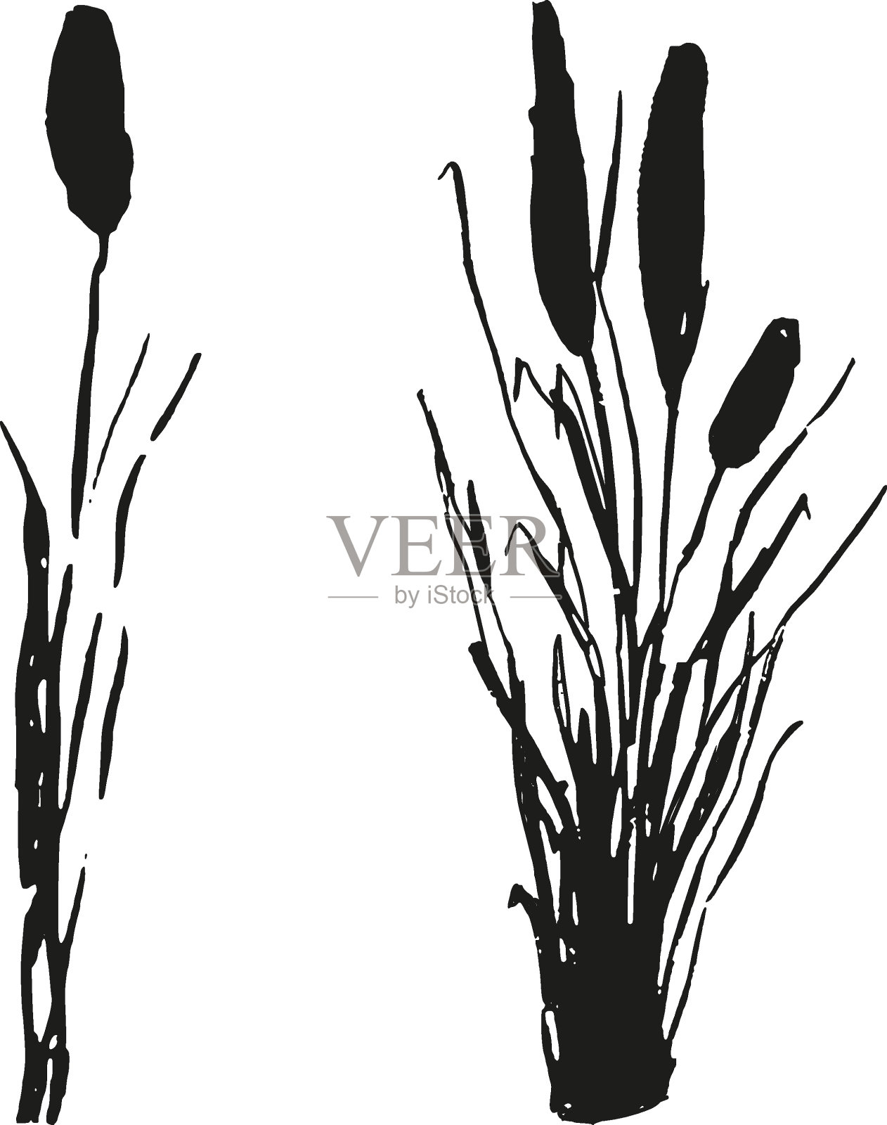 打印插画图片素材