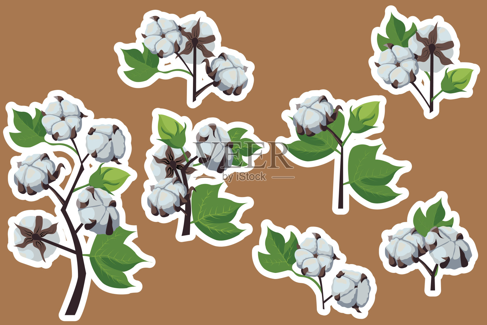 棉花的分枝。手柄上的天然蓬松纤维。贴纸。矢量股票插图隔离在白色插画图片素材