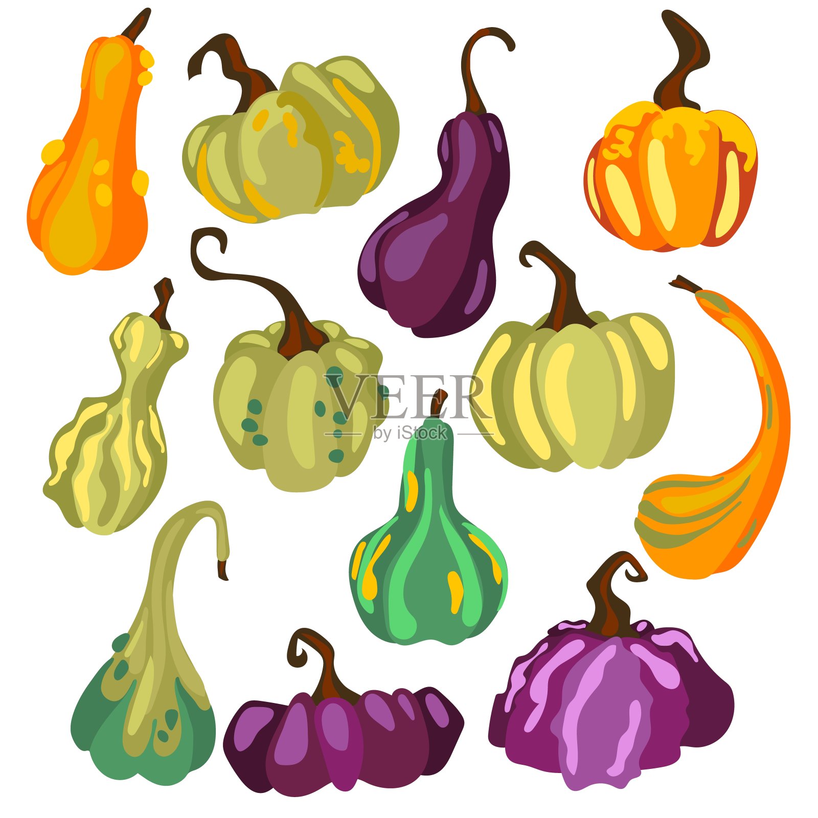 手绘的彩色南瓜。整个拉长，平坦，曲线。装饰秋天，感恩节和万圣节。秋天的配色是黄、橙、绿、紫。可爱的秋南瓜插画图片素材