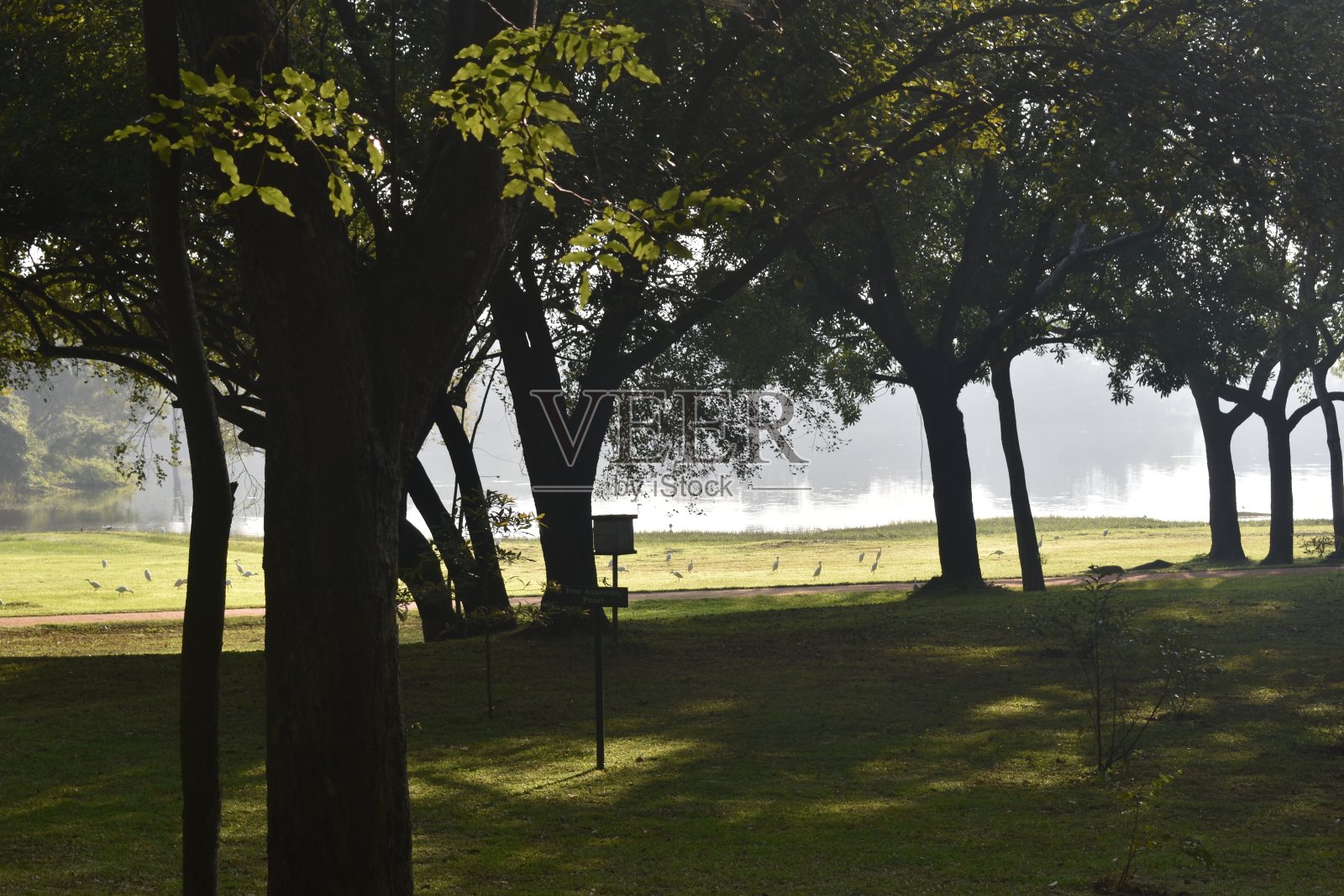 湖边美丽的花园照片摄影图片