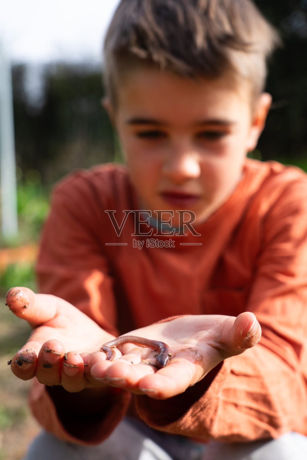 孩子手里的蚯蚓照片摄影图片
