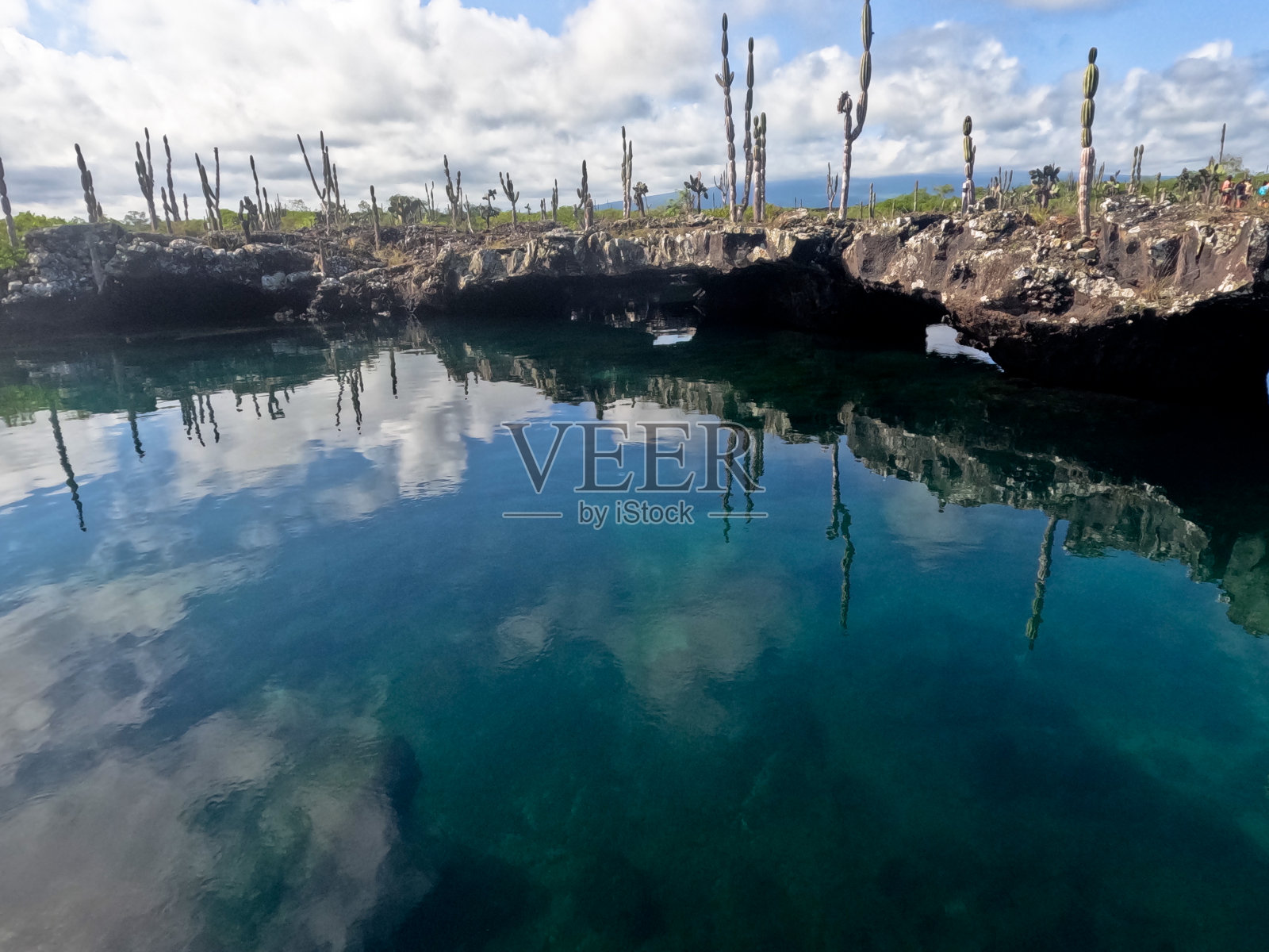 加拉帕戈斯群岛伊莎贝拉隧道之旅照片摄影图片