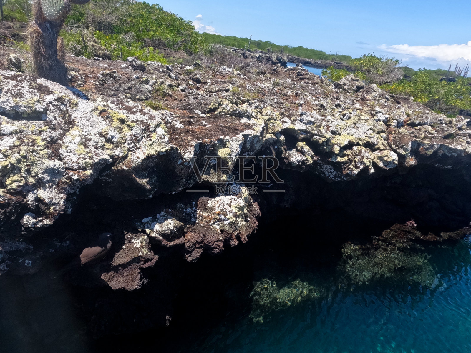 加拉帕戈斯群岛伊莎贝拉隧道之旅照片摄影图片