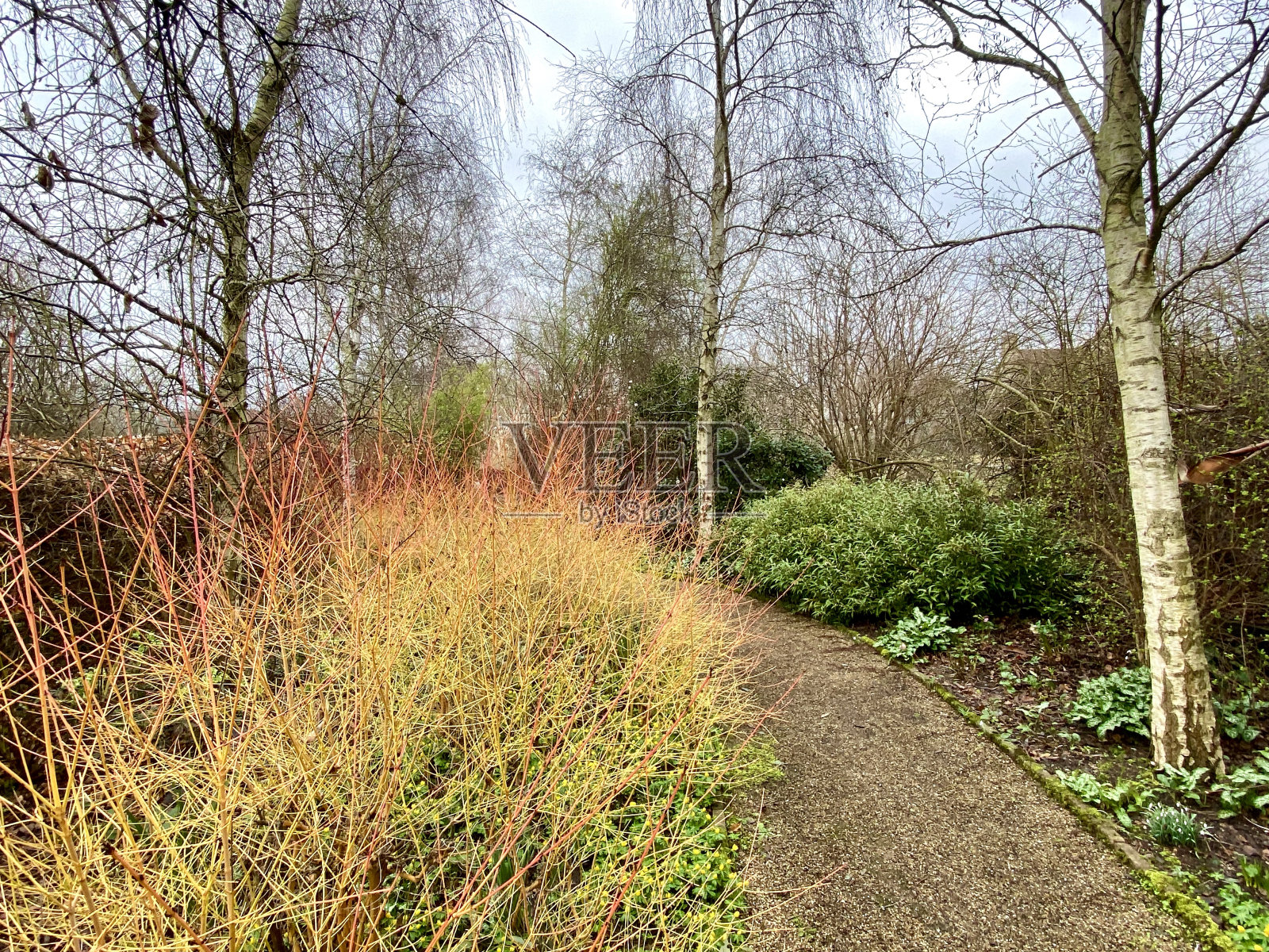 乡村公园里的小路照片摄影图片