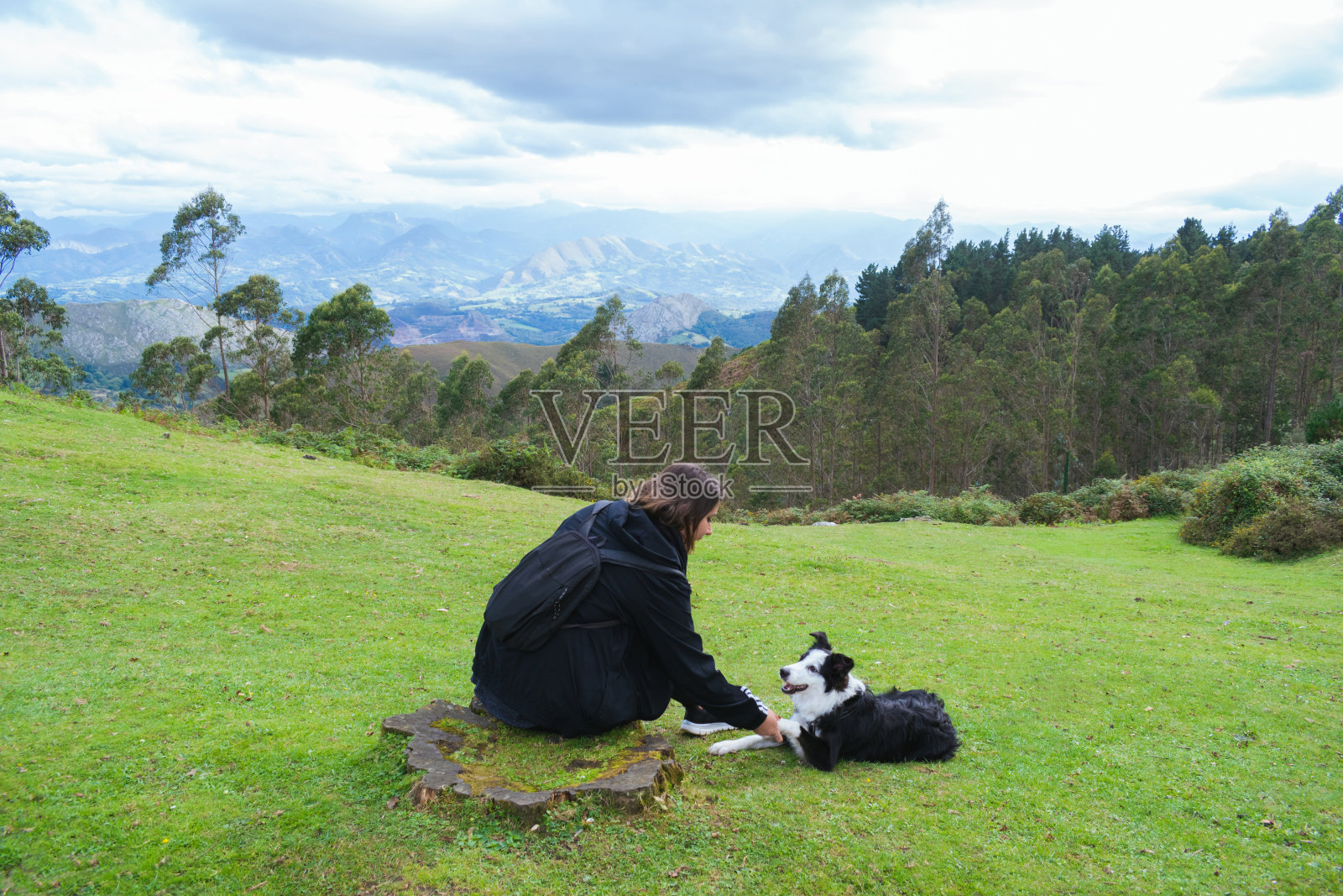 年轻女子和她的边境牧羊犬，背景是欧洲的小猎犬照片摄影图片