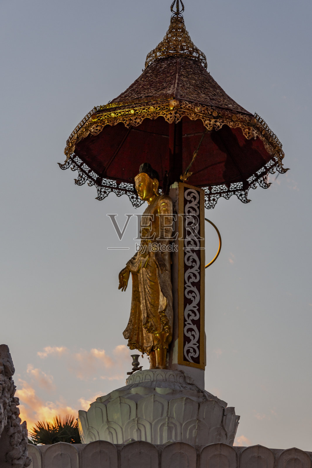 缅甸仰光的大金塔照片摄影图片