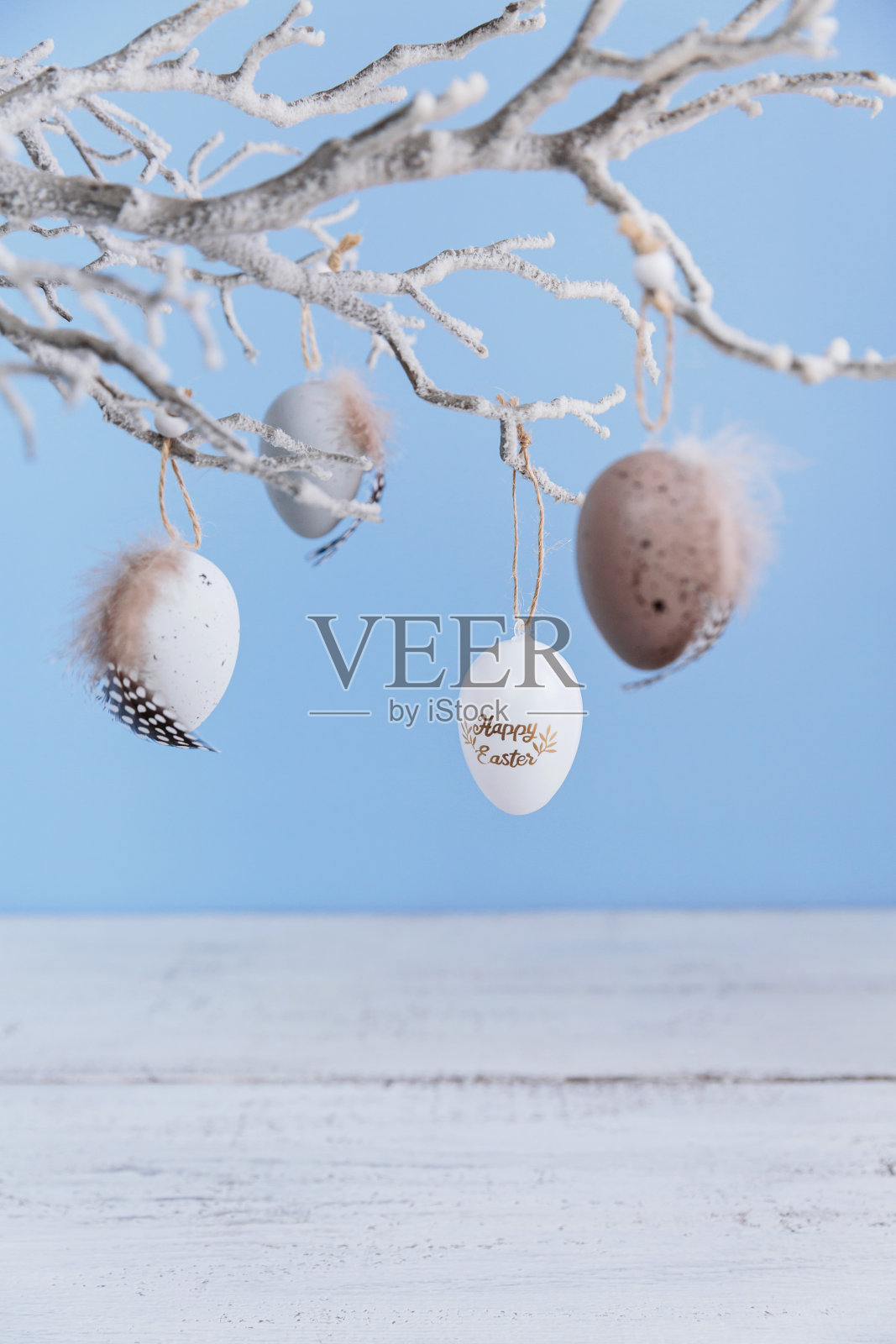 复活节彩蛋挂在树枝上的淡蓝色背景照片摄影图片