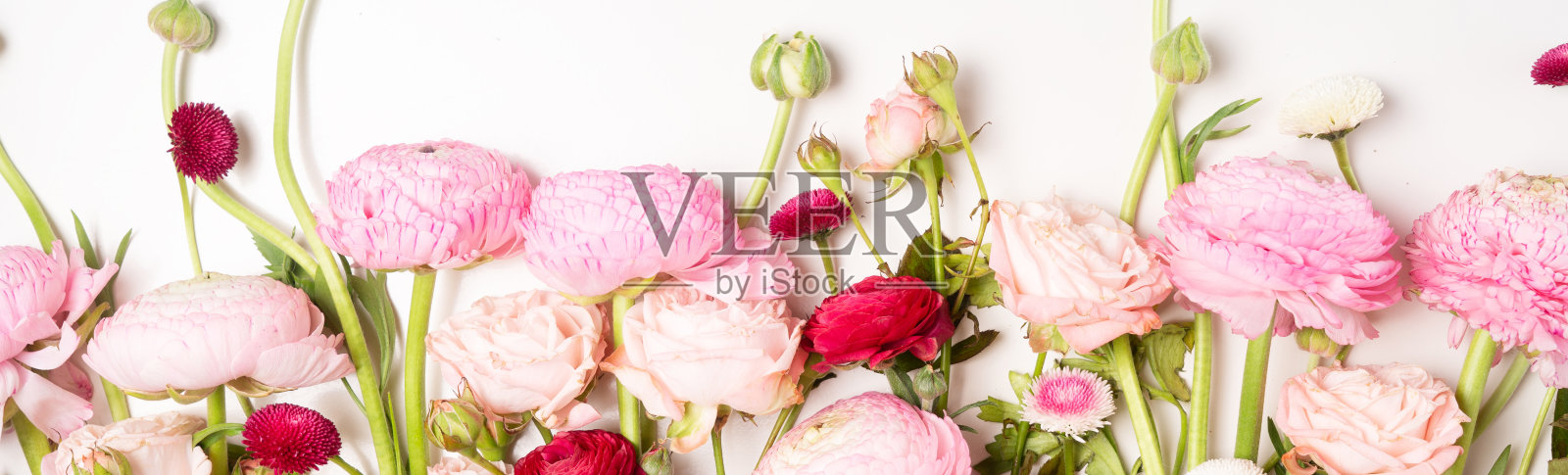 毛茛平铺组成照片摄影图片