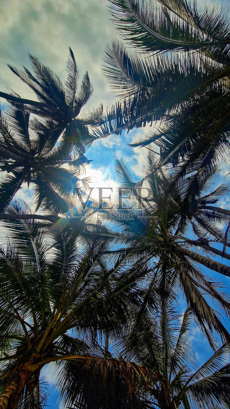 光线照片摄影图片