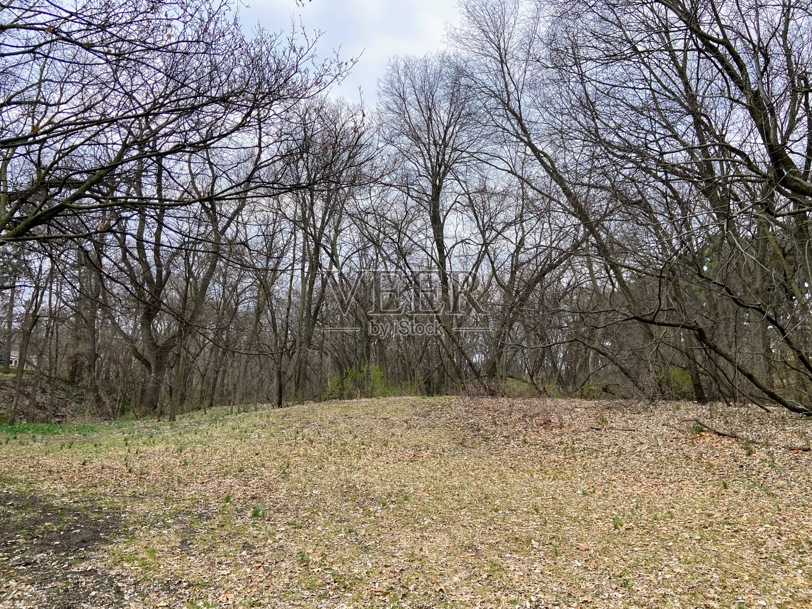 内布拉斯加州奥马哈的埃尔姆伍德公园照片摄影图片