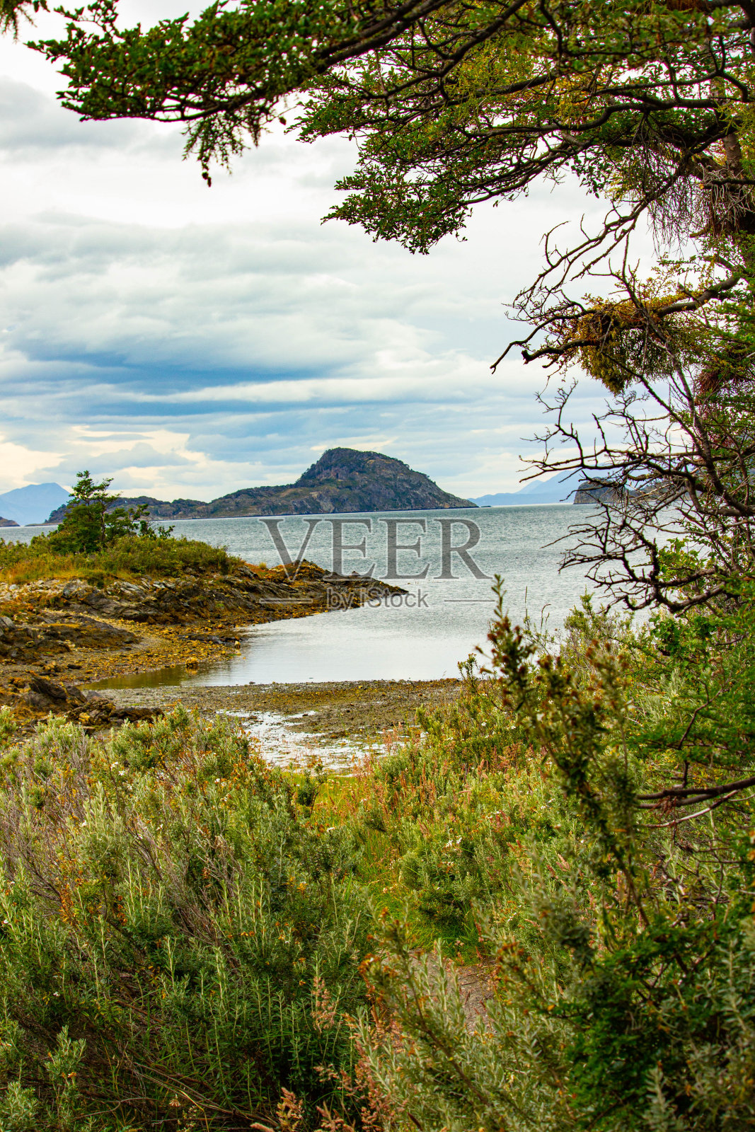 湖泊和树木照片摄影图片