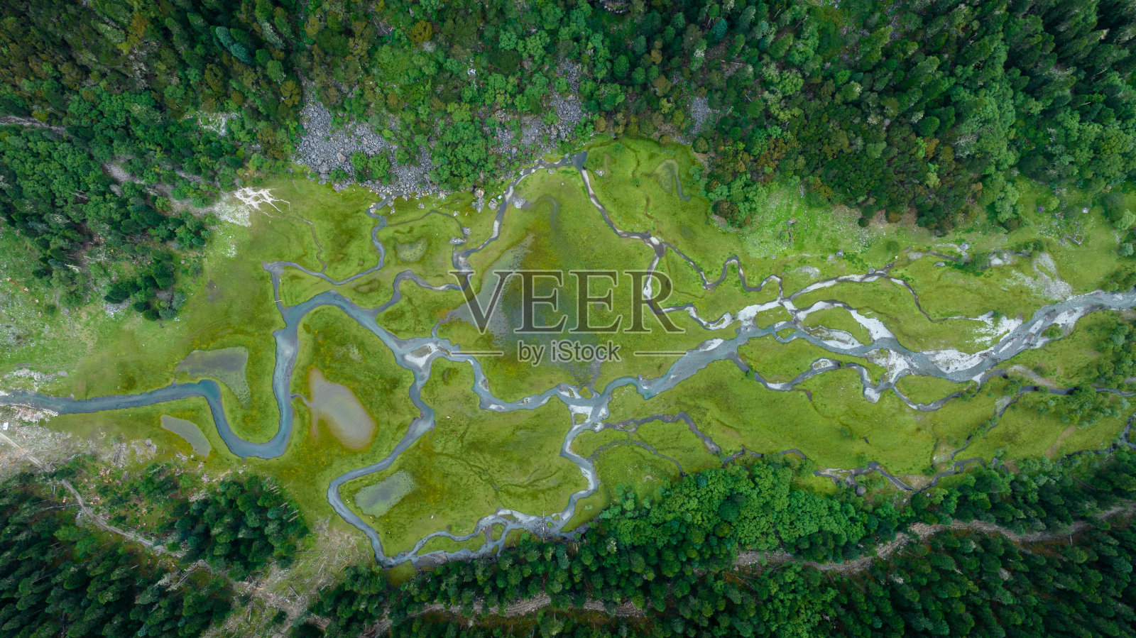 中国四川美丽的森林景观照片摄影图片