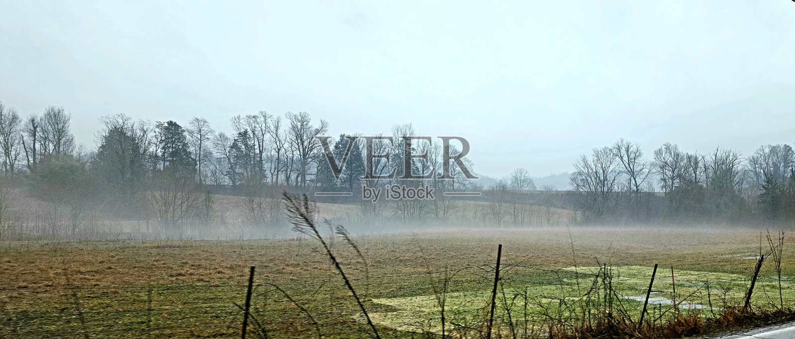 雾蒙蒙的字段照片摄影图片