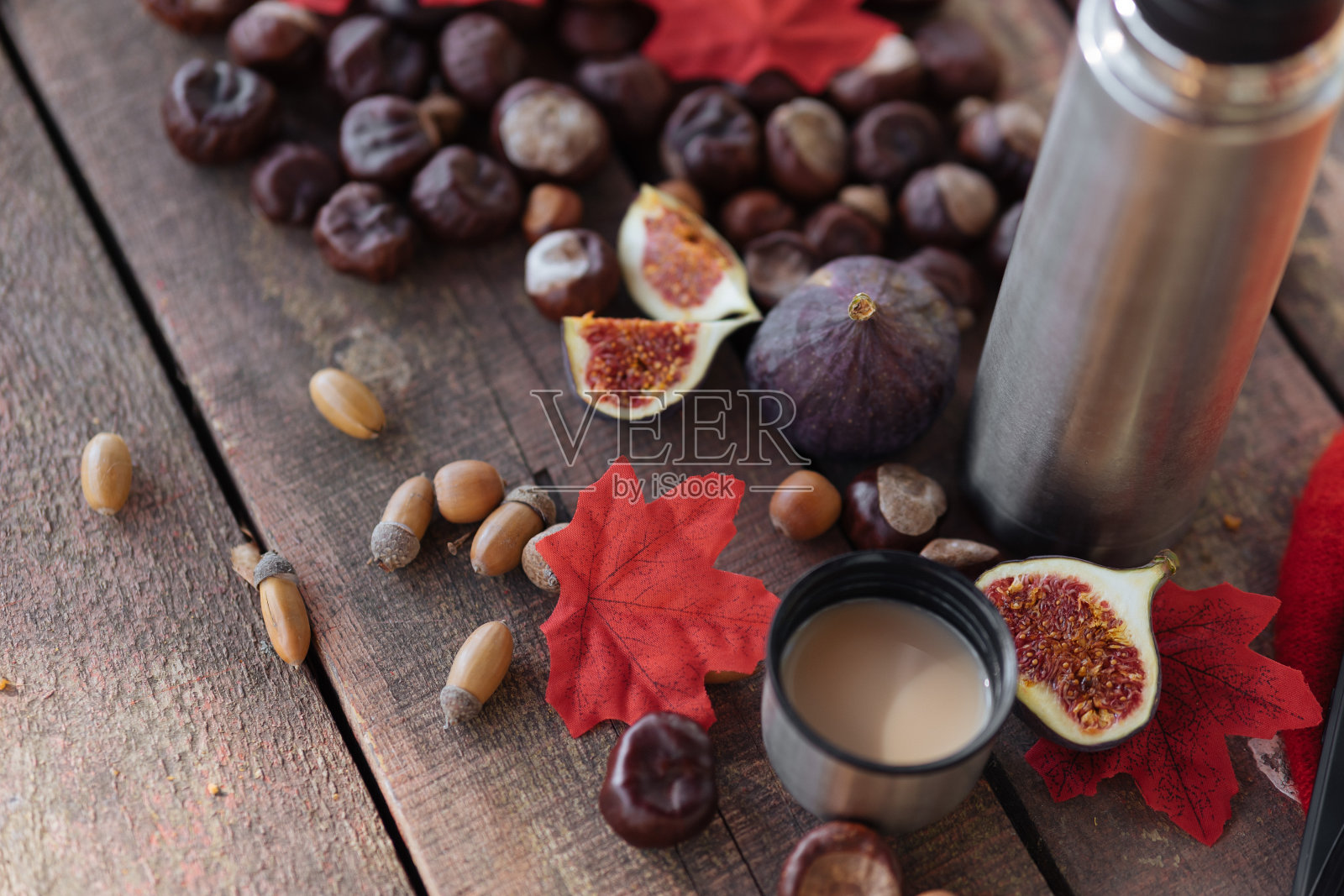 栗子秋橡子表照片摄影图片