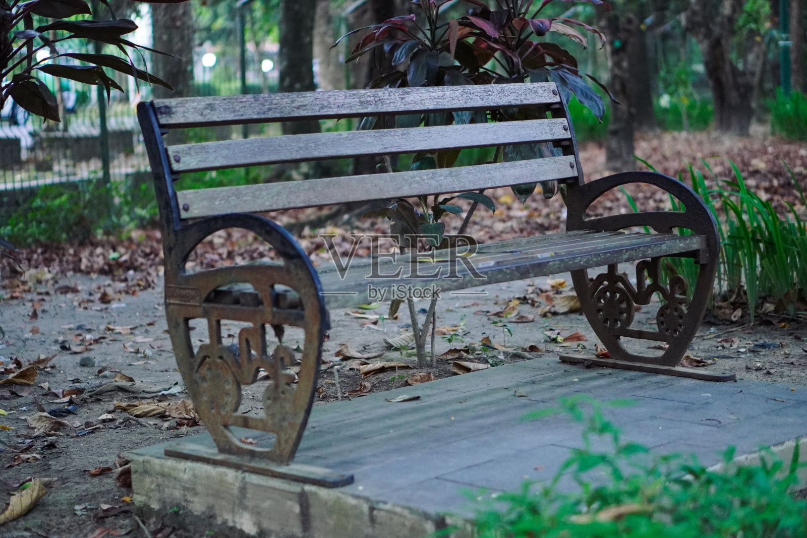 漂亮的锻铁，花园椅照片摄影图片