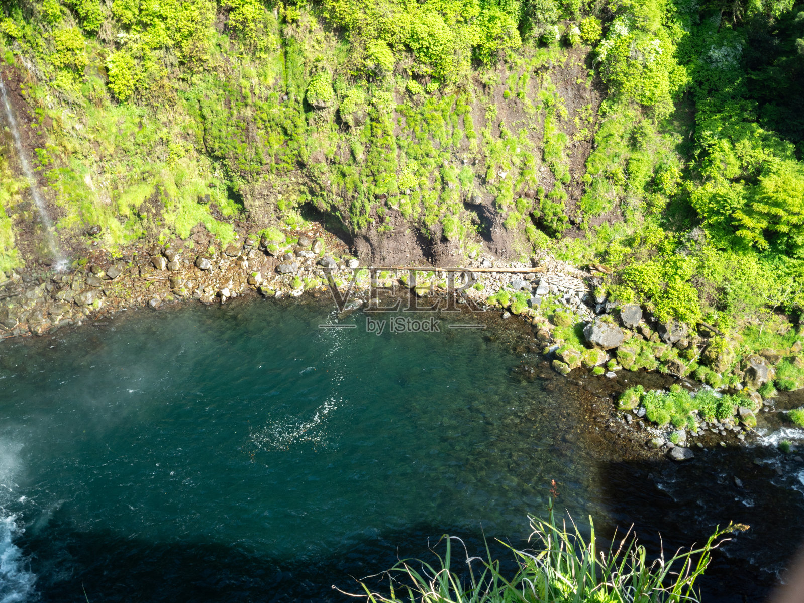 绿意盎然的瀑布照片摄影图片