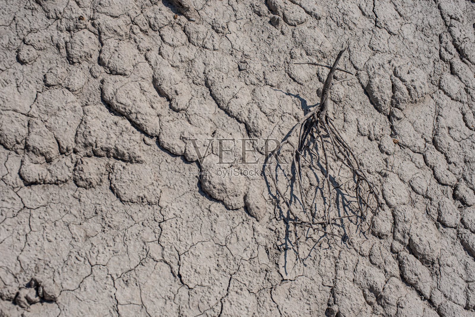干旱的土壤照片摄影图片