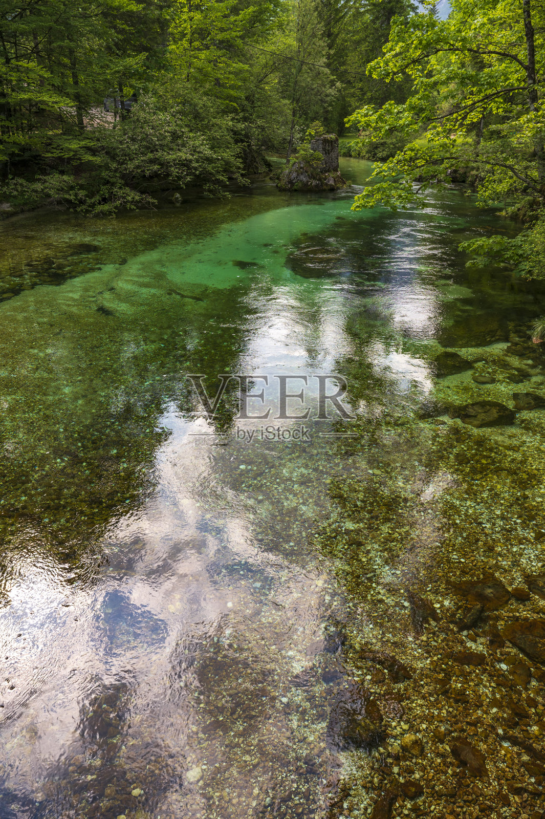 春天，斯洛文尼亚特里格拉夫国家公园的博希尼湖附近的萨维卡河照片摄影图片