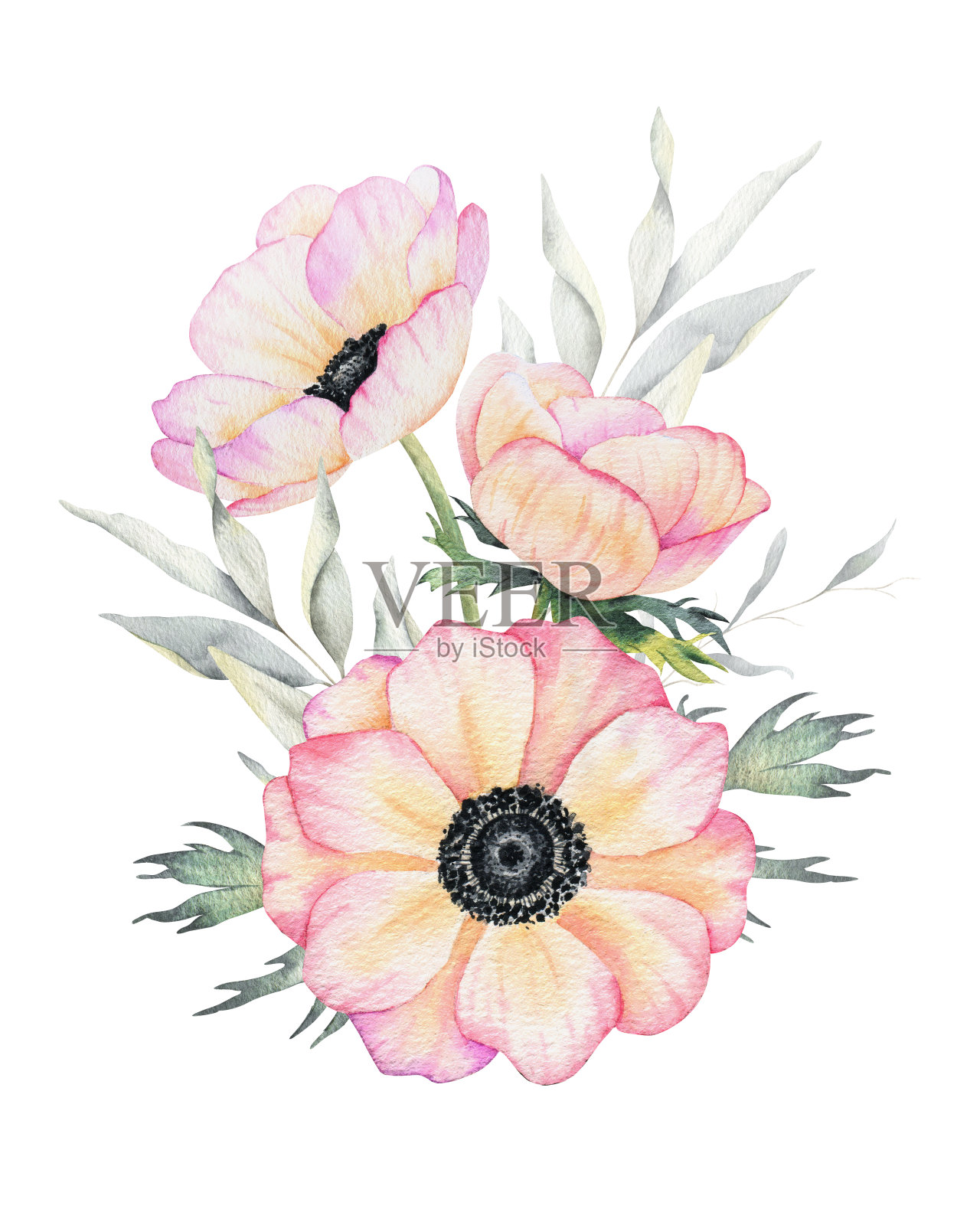 一束银莲花玫瑰的花和叶子。孤立的手绘水彩插图。夏季花卉设计适用于婚礼请柬、贺卡、纺织品、商品包装。包装纸插画图片素材