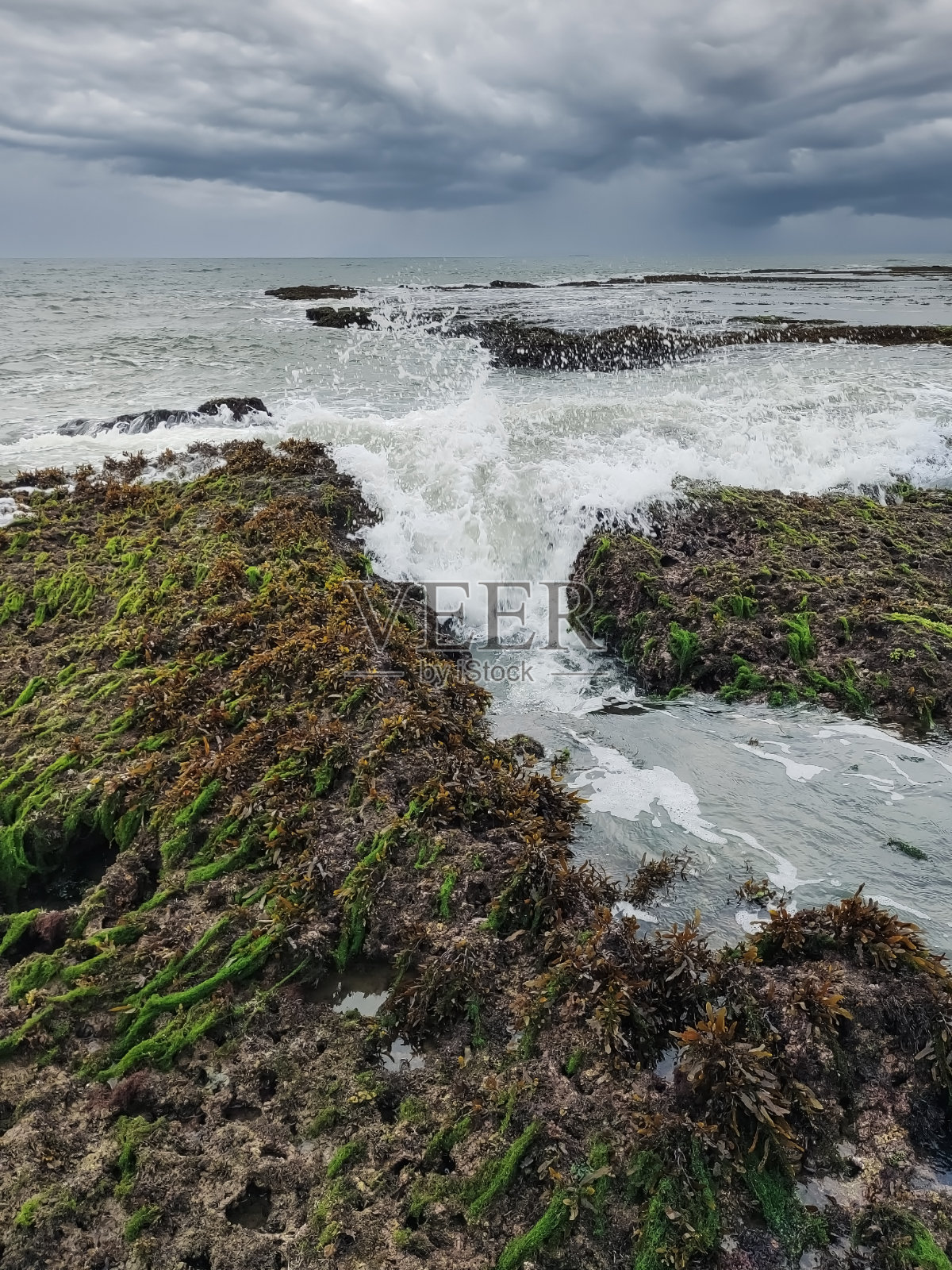 在珊瑚湾的海岸宁静阴沉的天空照片摄影图片