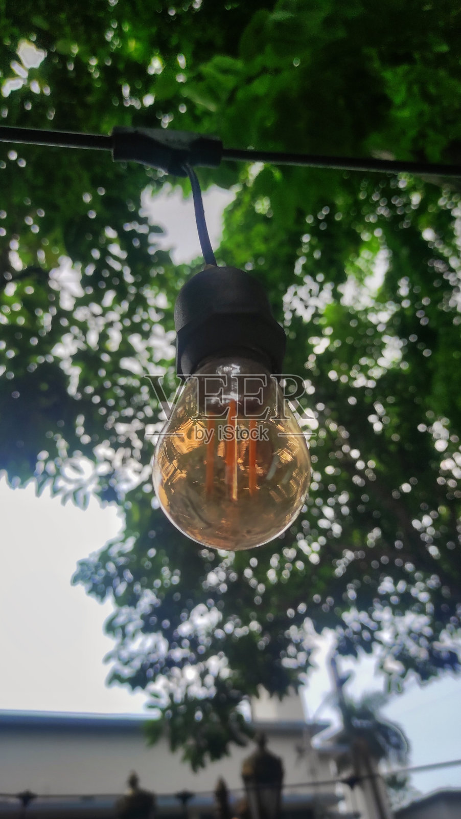 黄色灯泡挂在步行街附近的树，使步行街在夜间更加美丽照片摄影图片