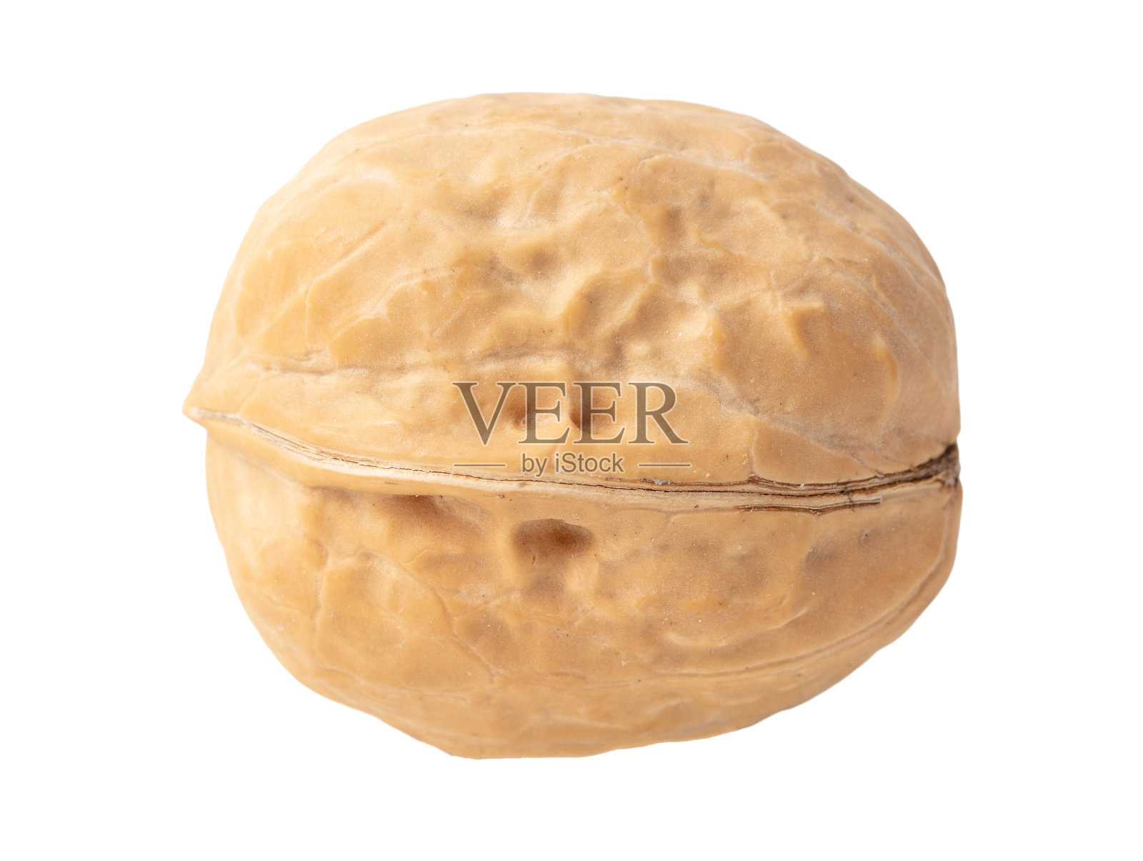 胡桃隔离白底色照片摄影图片