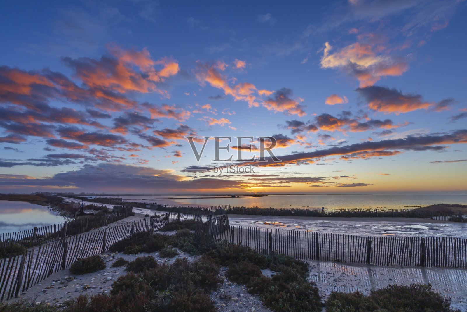法国普罗旺斯卡马格地区自然公园日出时的典型景观照片摄影图片