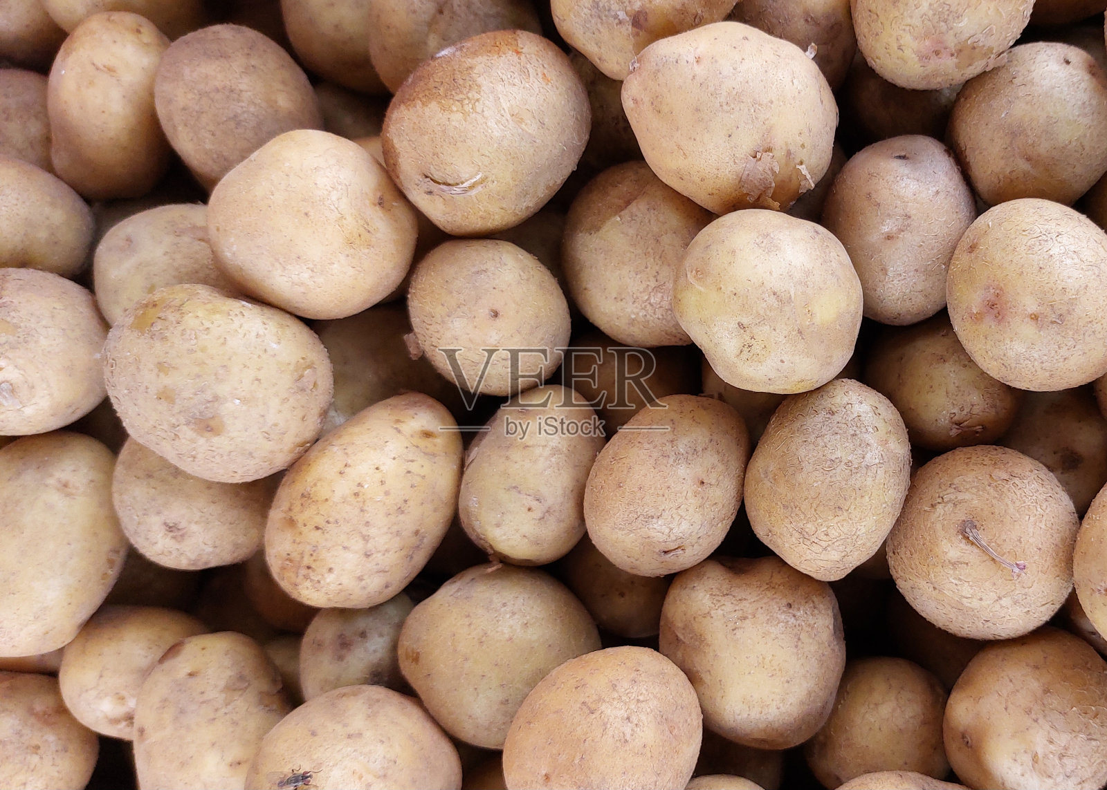 市场上出售的新鲜有机马铃薯照片摄影图片