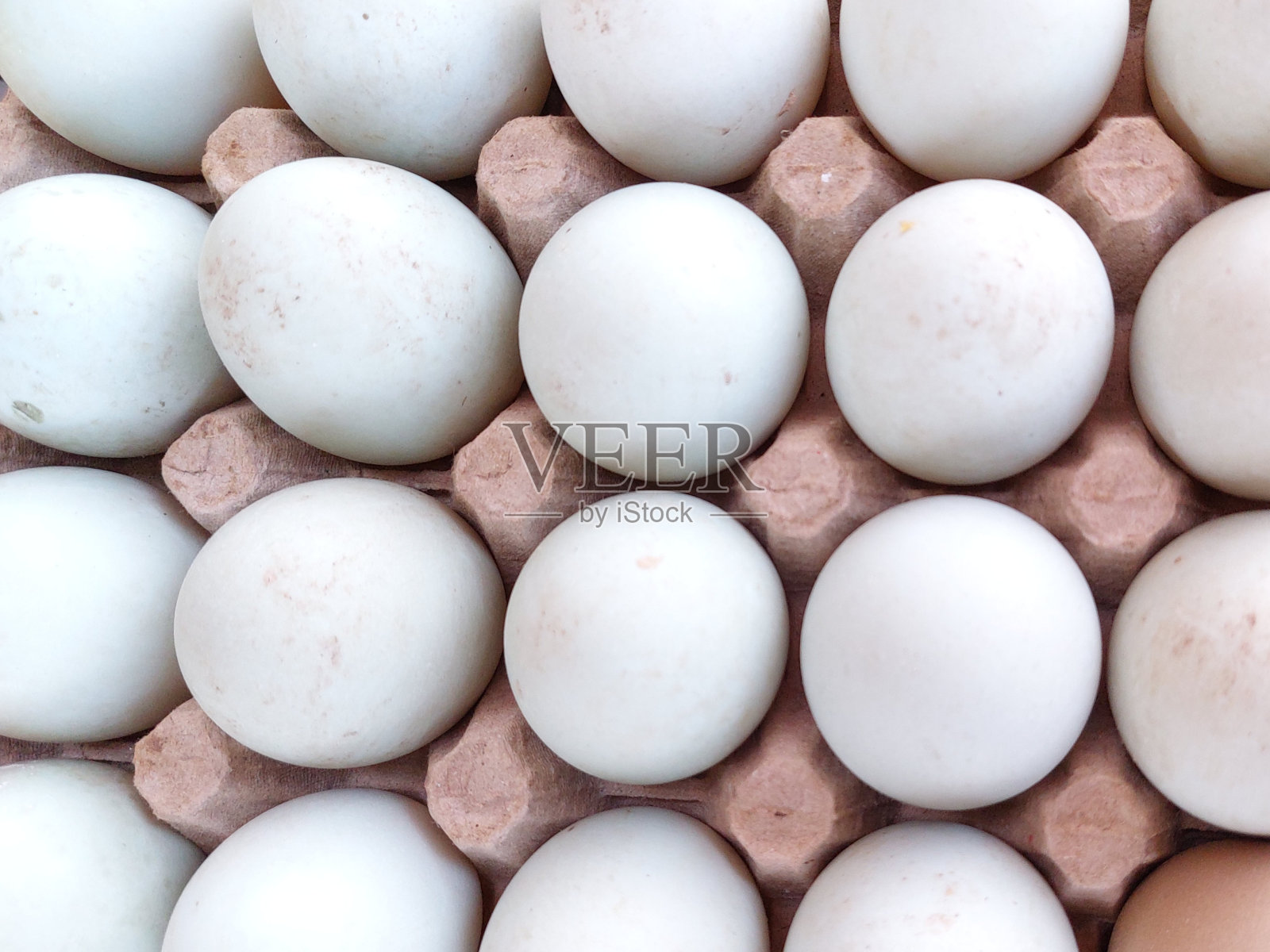 鸭蛋或鸭肉富含蛋白质和维生素。放置在市场的货摊上照片摄影图片