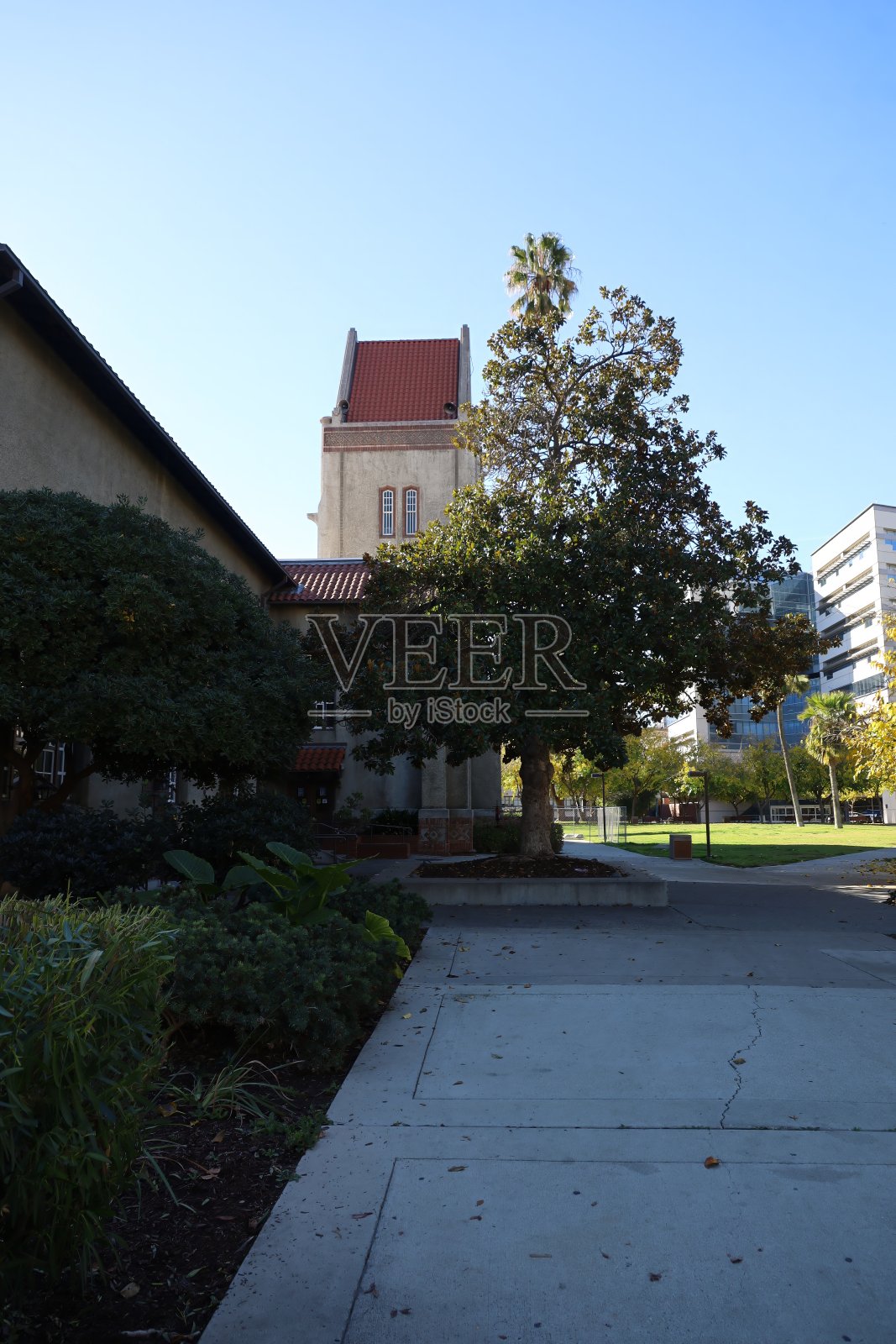 加州圣何塞州立大学