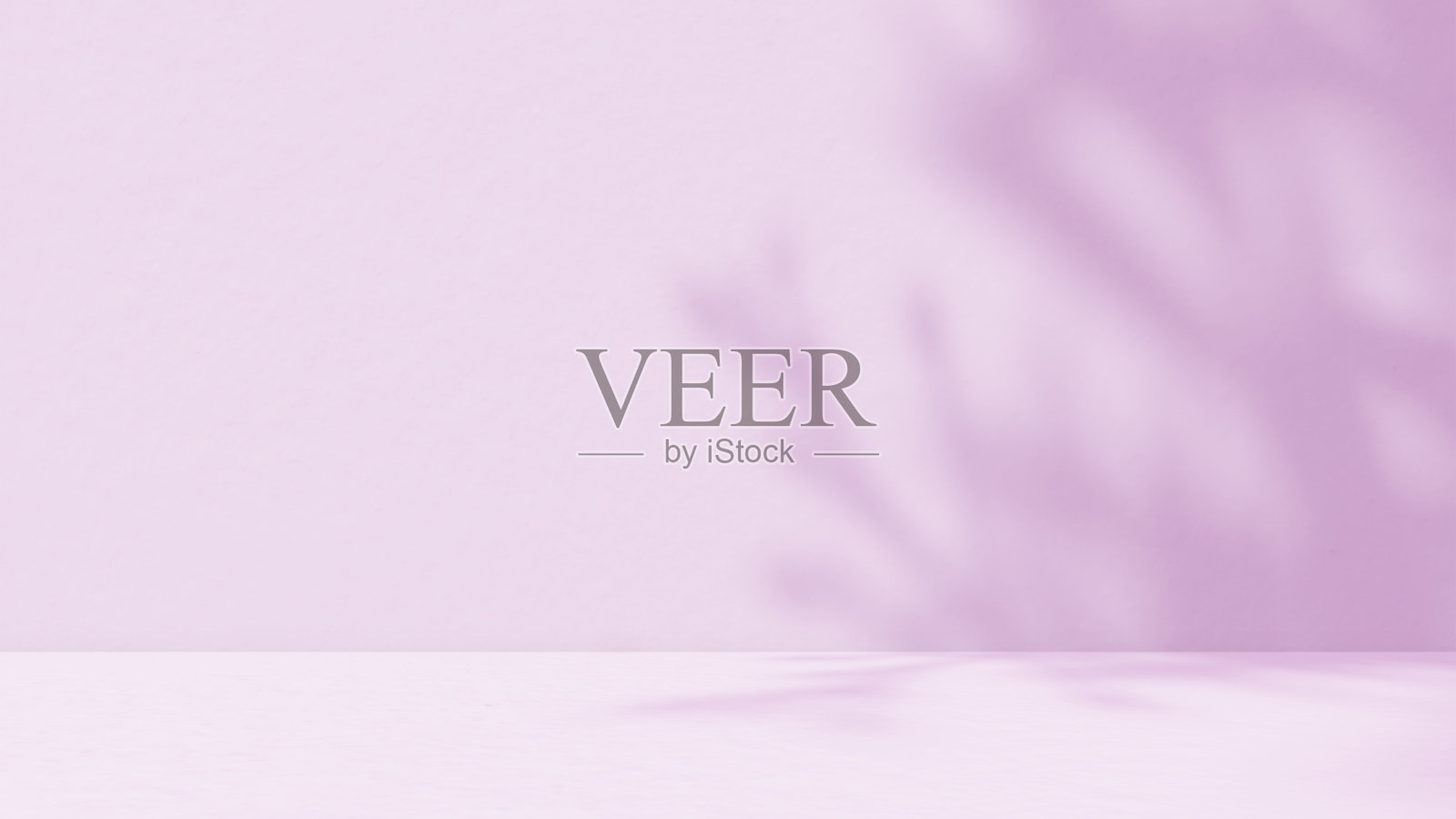 空的紫色工作室用于产品展示，墙上有树叶的影子。照片摄影图片