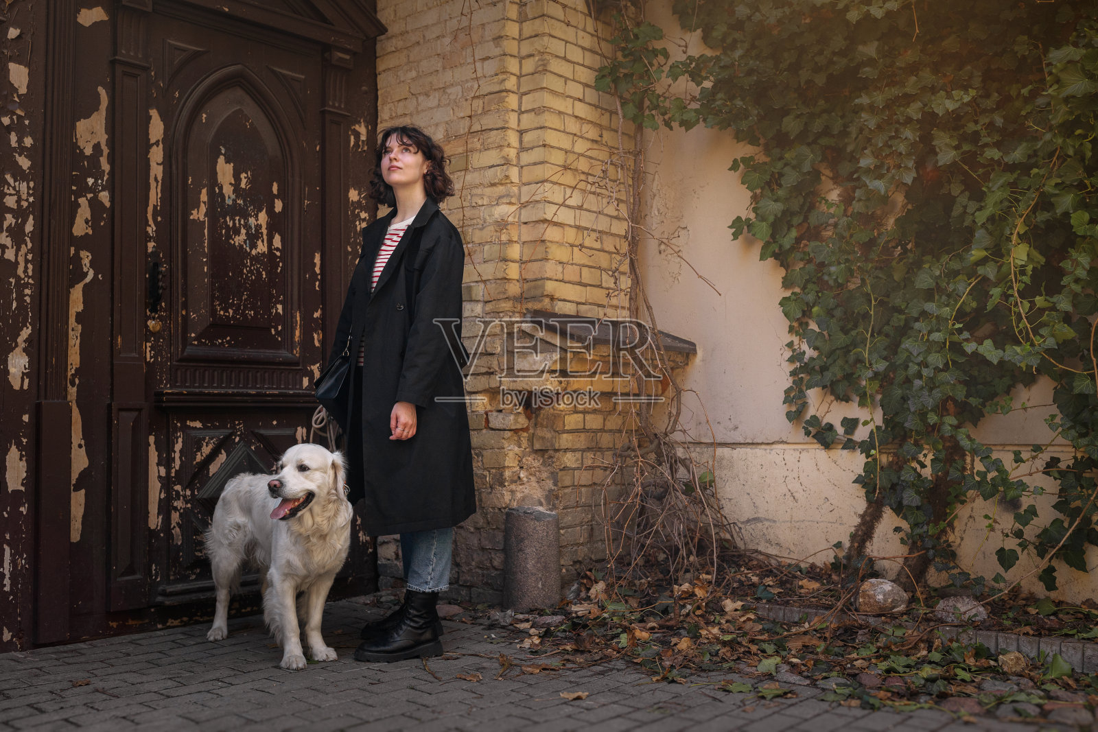 可爱有趣的女孩肖像和她的金狗在街上照片摄影图片