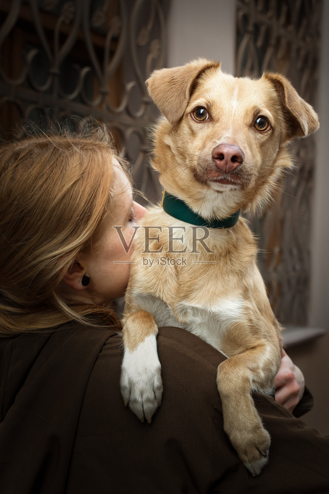 美丽的金发女孩和一只狗的肖像照片摄影图片
