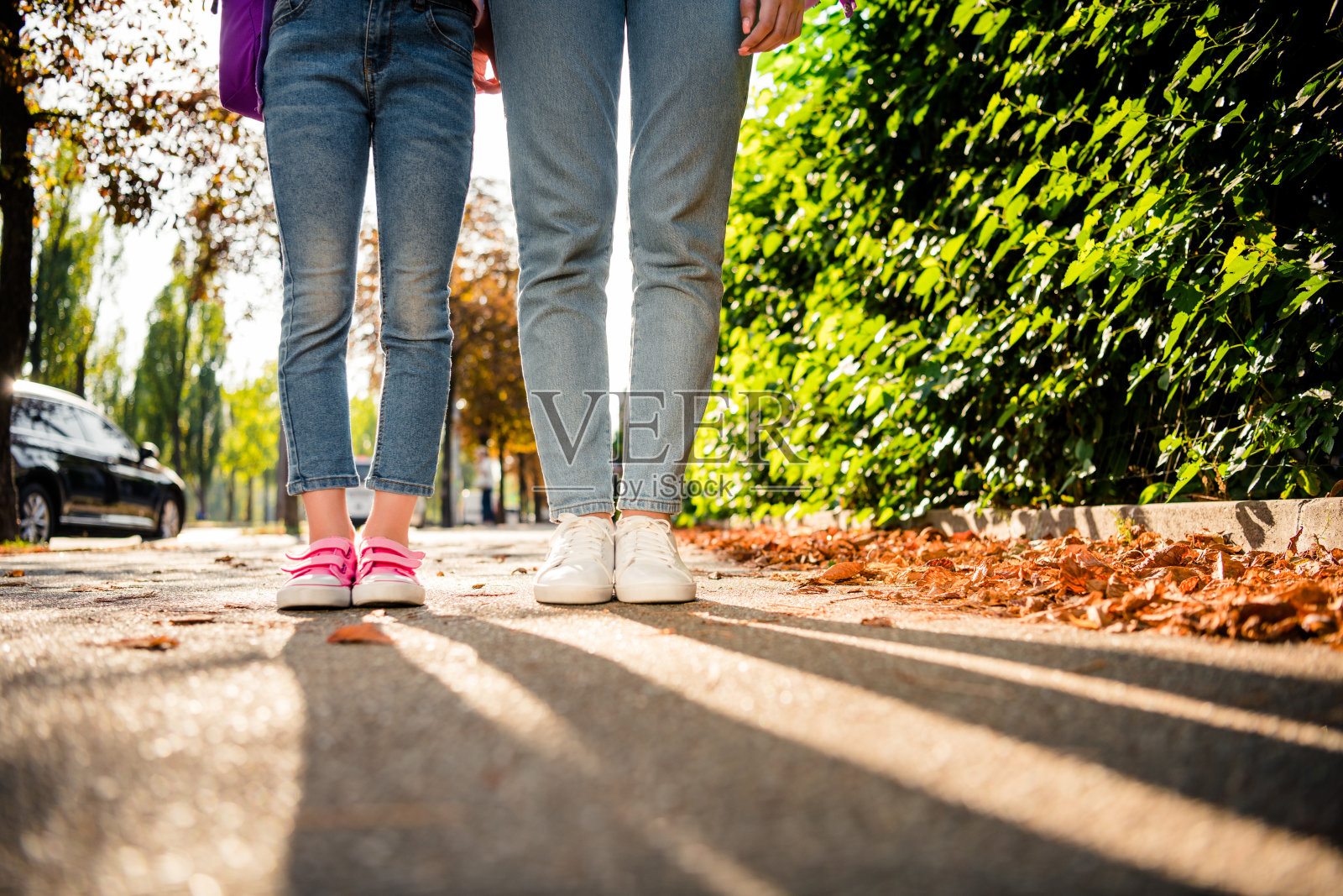 裁剪的照片两个女孩的腿牛仔牛仔裤运动鞋阴影道路落叶绿色公园外的灌木丛照片摄影图片