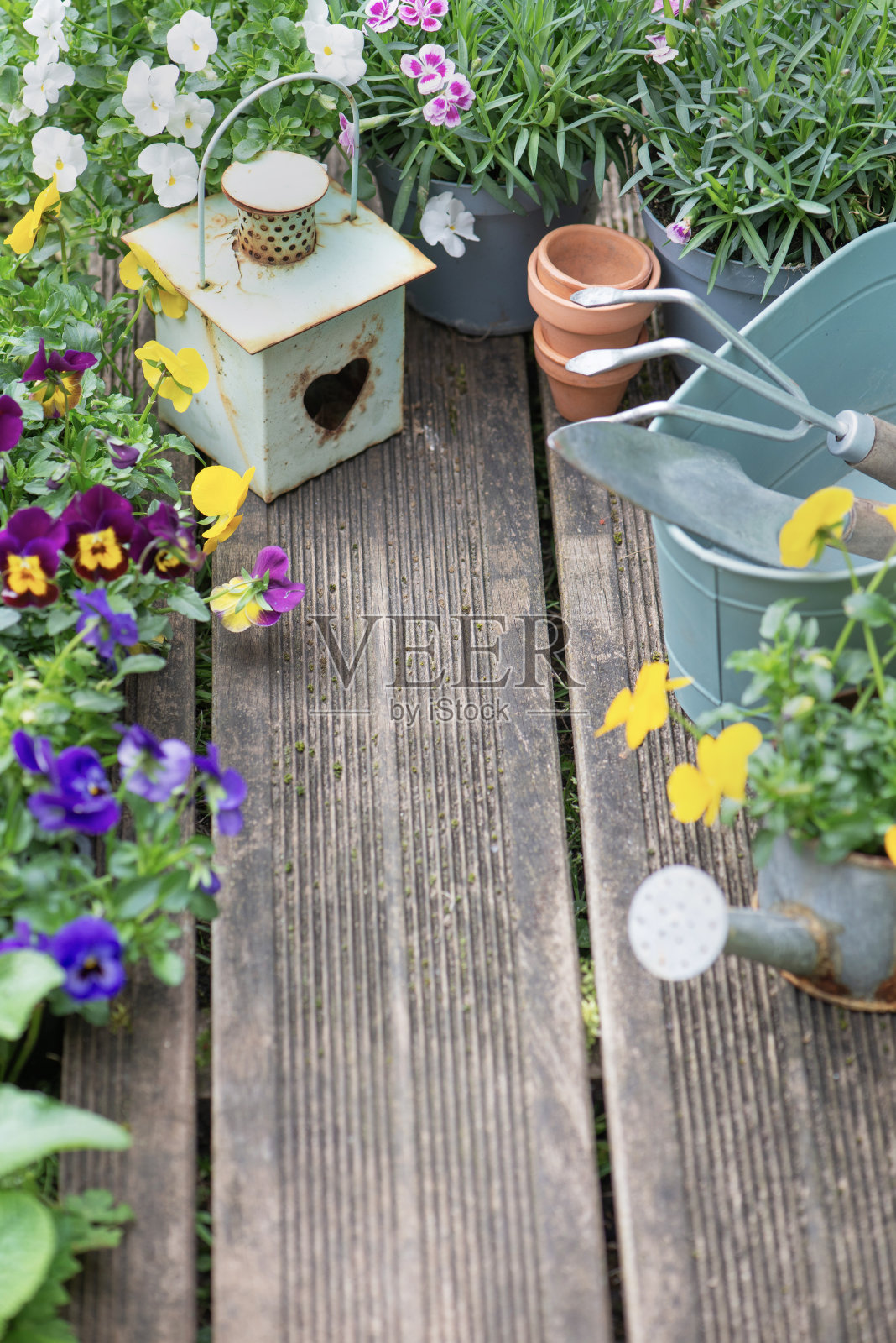 漂亮的彩色花朵盛开，并安排在部分木制露台装饰花盆和灯笼照片摄影图片