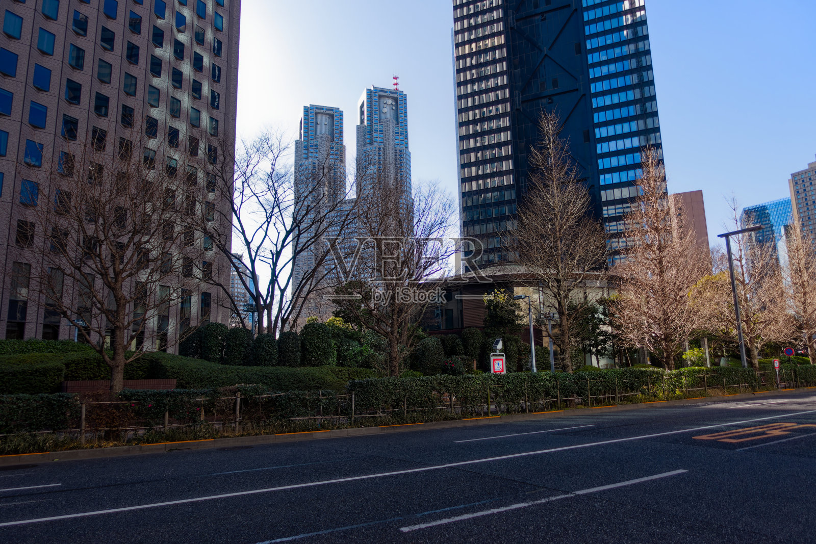 以蓝天为背景的日本首都市政厅双塔的城市景观。照片摄影图片