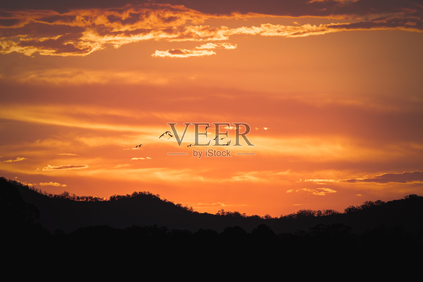 日出日落时美丽的湖景——春天农场照片摄影图片