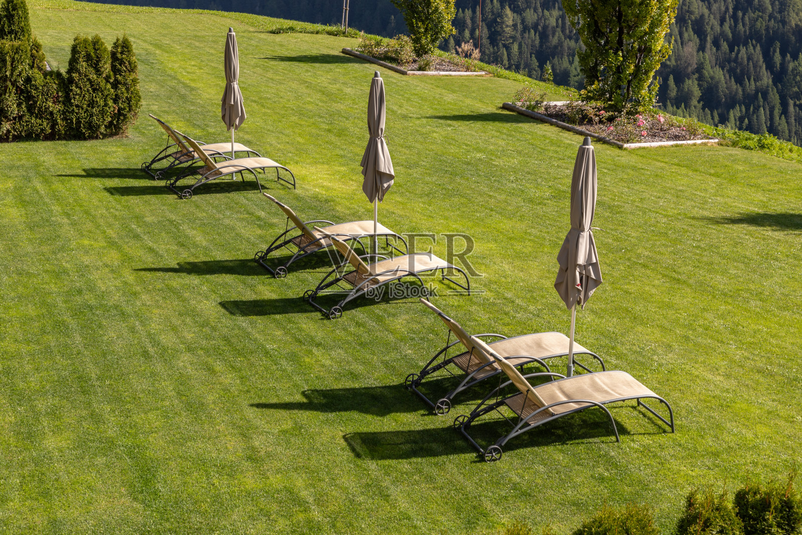 草坪上的躺椅照片摄影图片