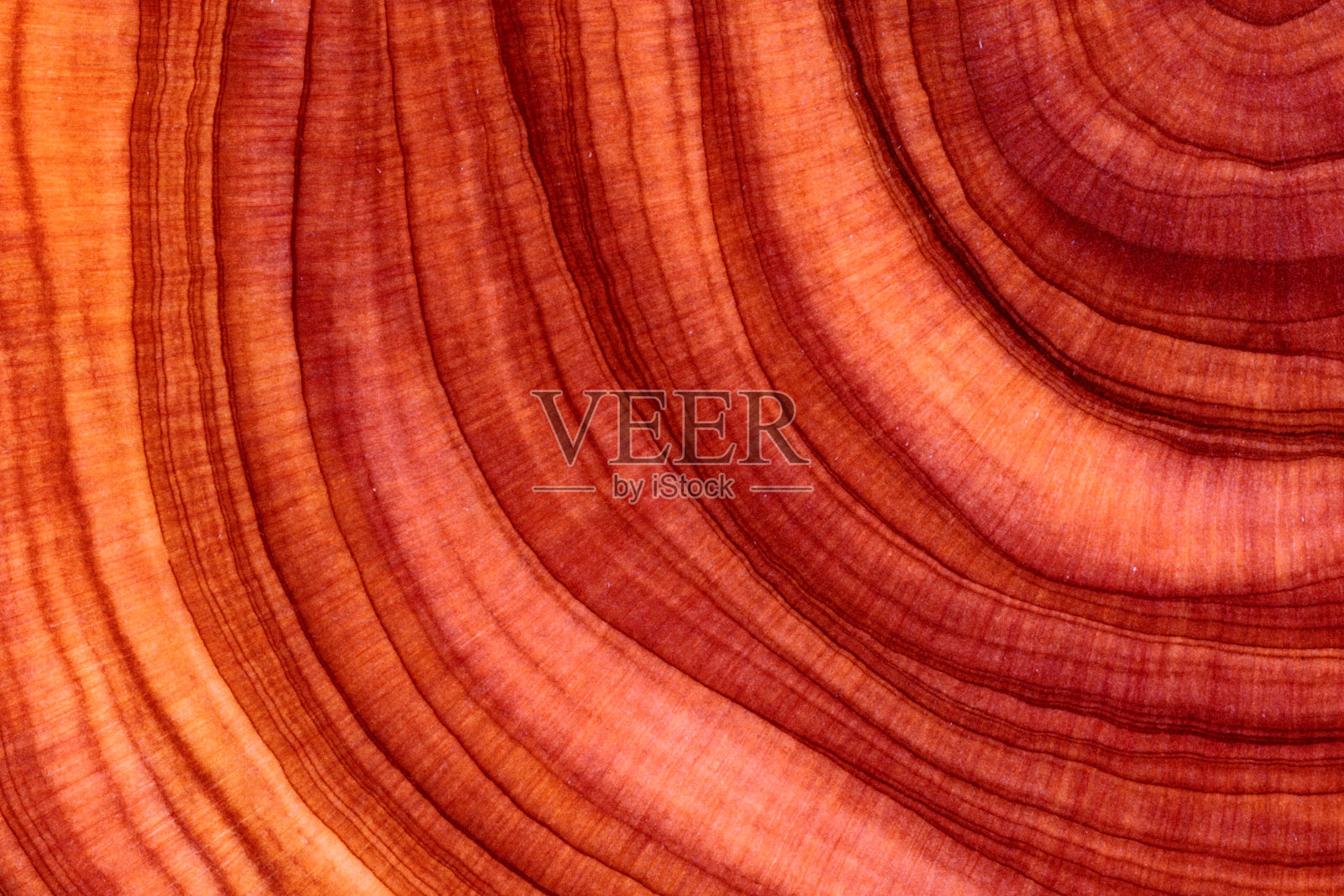 木模照片摄影图片