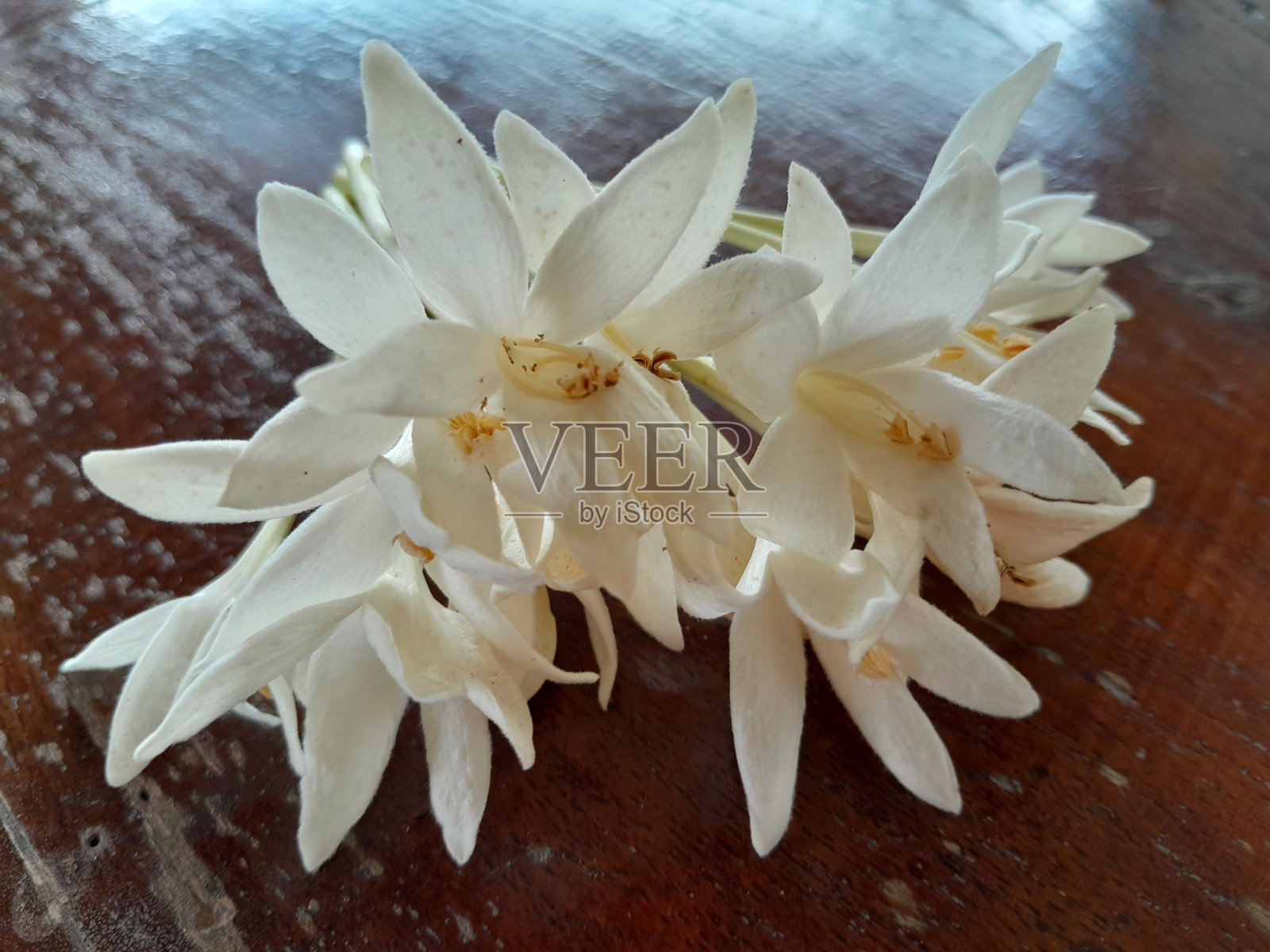 这花很香照片摄影图片