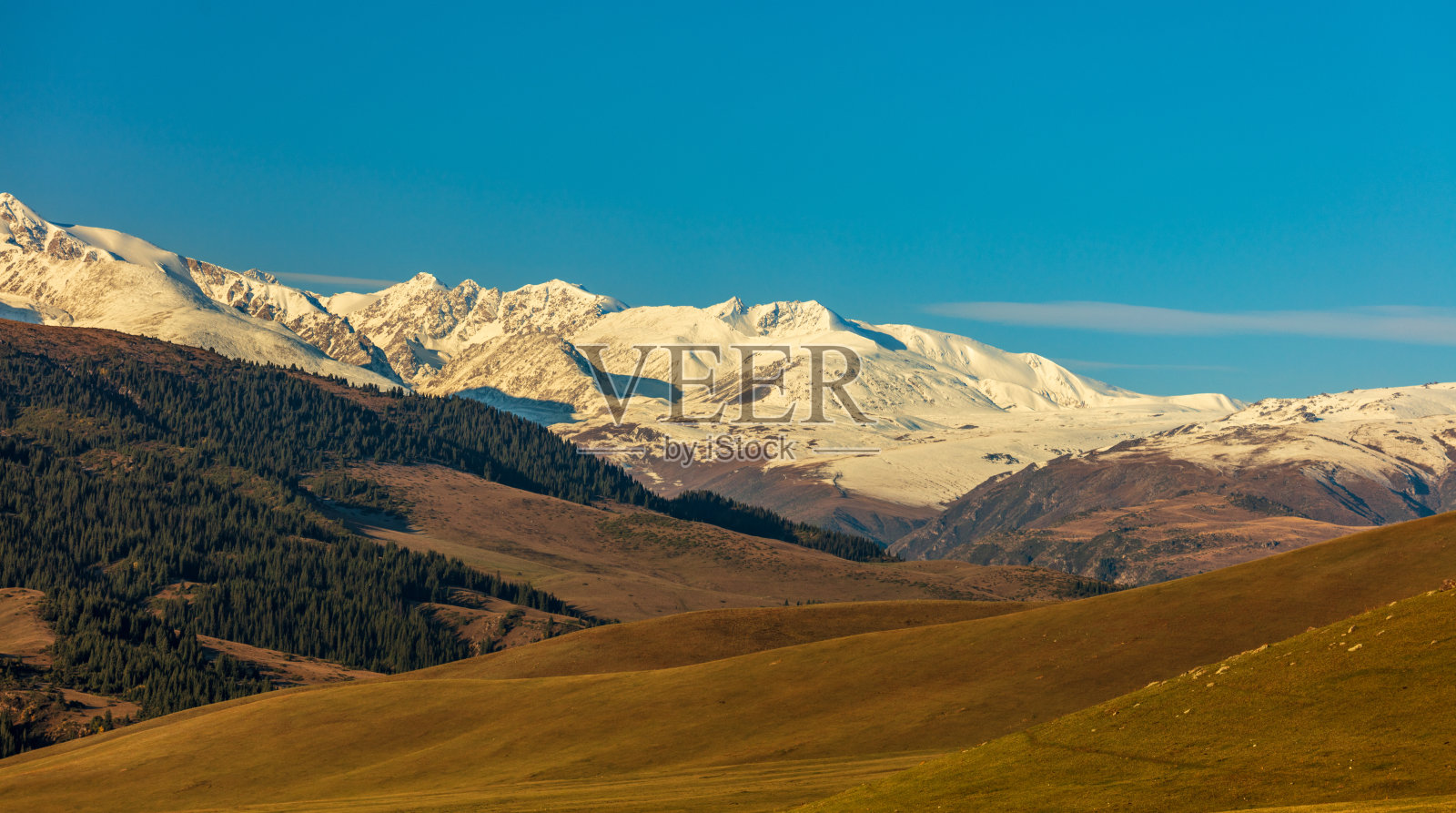 大自然的宁静港湾照片摄影图片