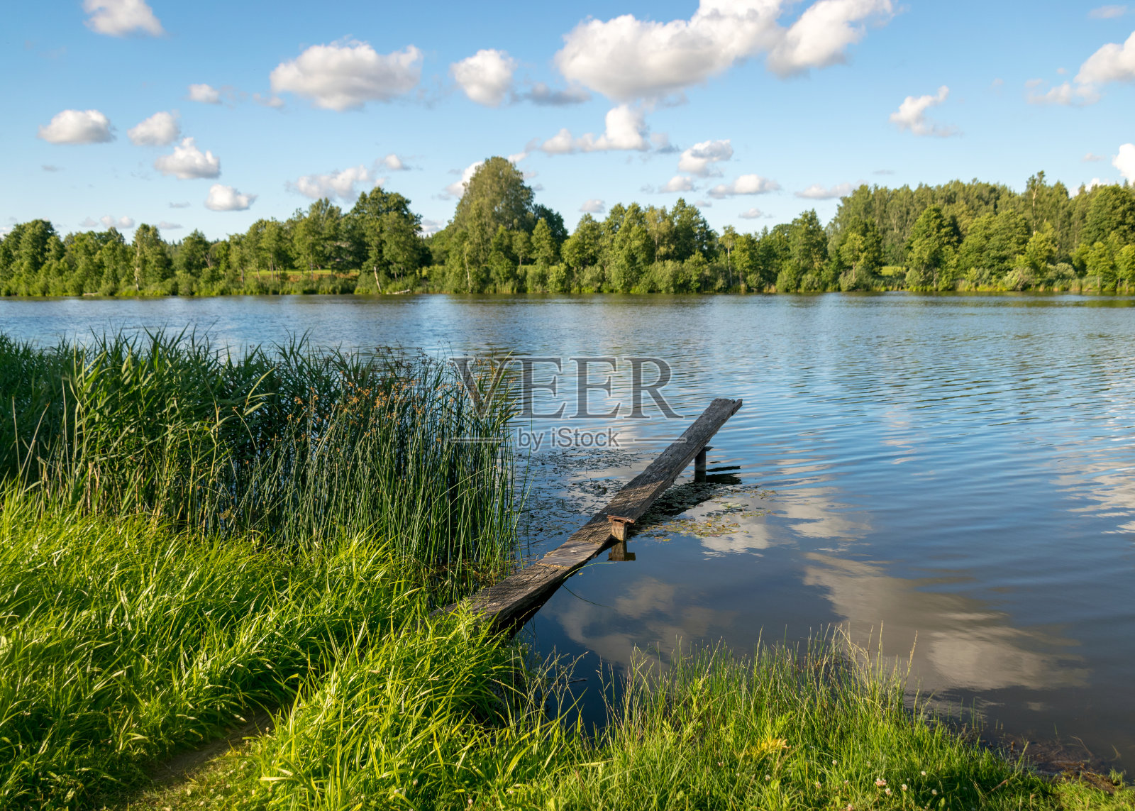 在一个阳光明媚的夏日，眺望碧绿的湖岸，倒影在平静的湖水中照片摄影图片