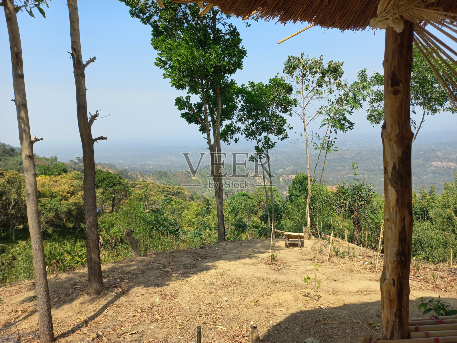 从山顶上看到的绿色之美照片摄影图片