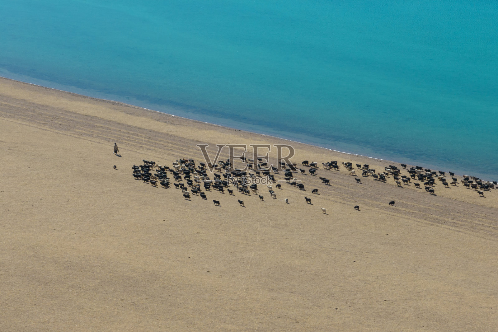 鸟瞰中国西藏美丽的湖泊照片摄影图片