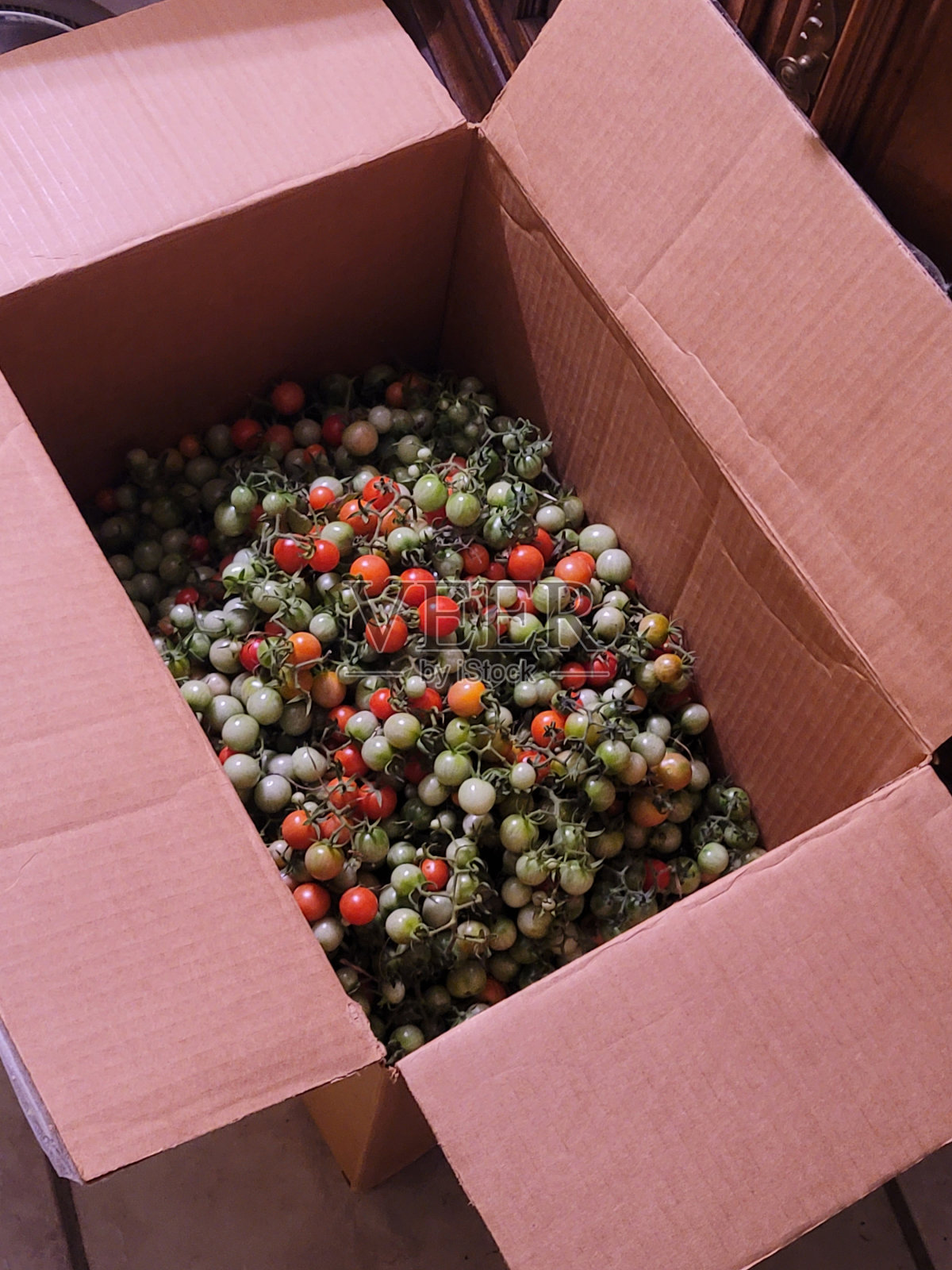 盒装赏金:准备上市的圣女果照片摄影图片