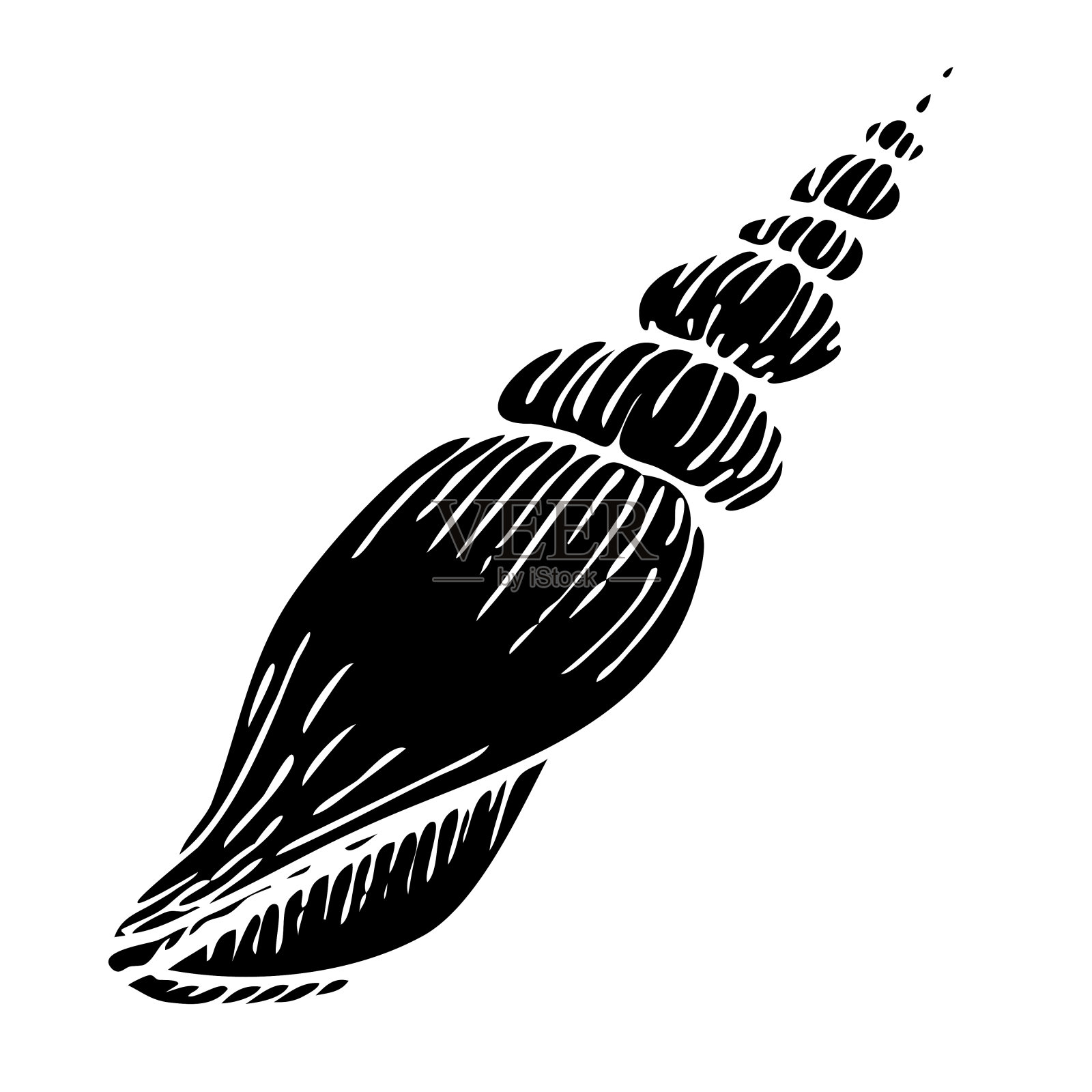 矢量贝壳黑色剪影插图。手绘海贝素描。单色海底贝壳图。孤立的设计元素在剪影风格的图标，标志，海鲜店，菜单插画图片素材