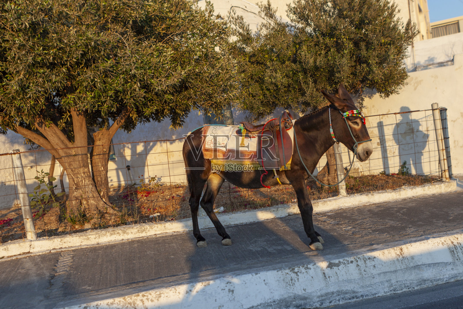 圣托里尼岛，基克拉迪群岛，希腊照片摄影图片
