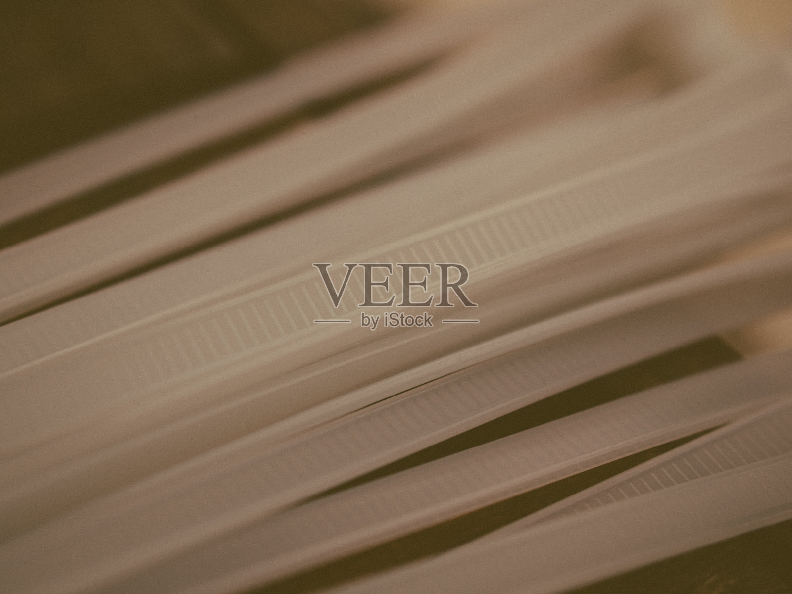 白色电缆扎紧照片摄影图片