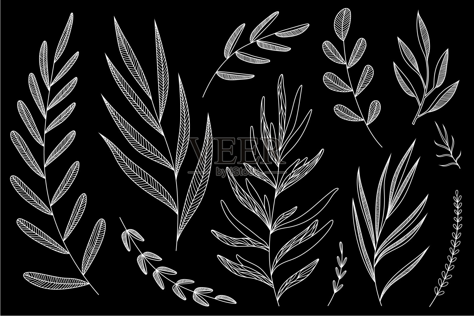 大树枝。植物插图。向量的元素。孤立。白色线条在黑色背景上工作。插画图片素材